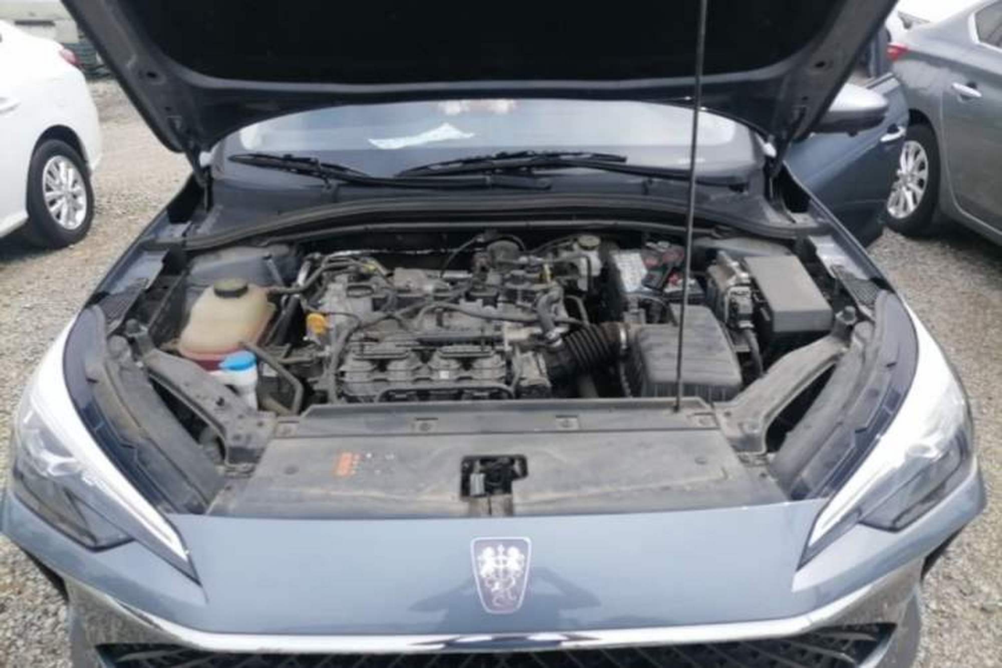 miniatura 21