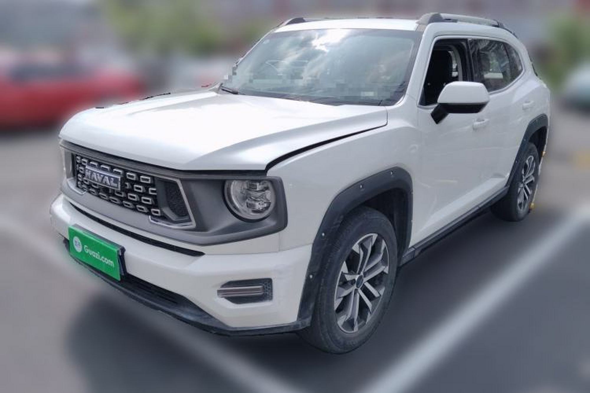 Haval H Dog
