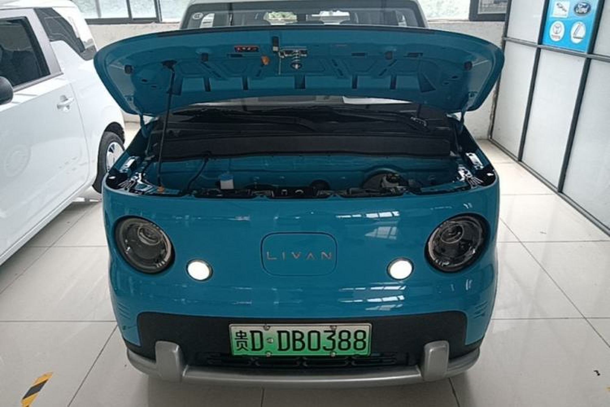 miniatura 24