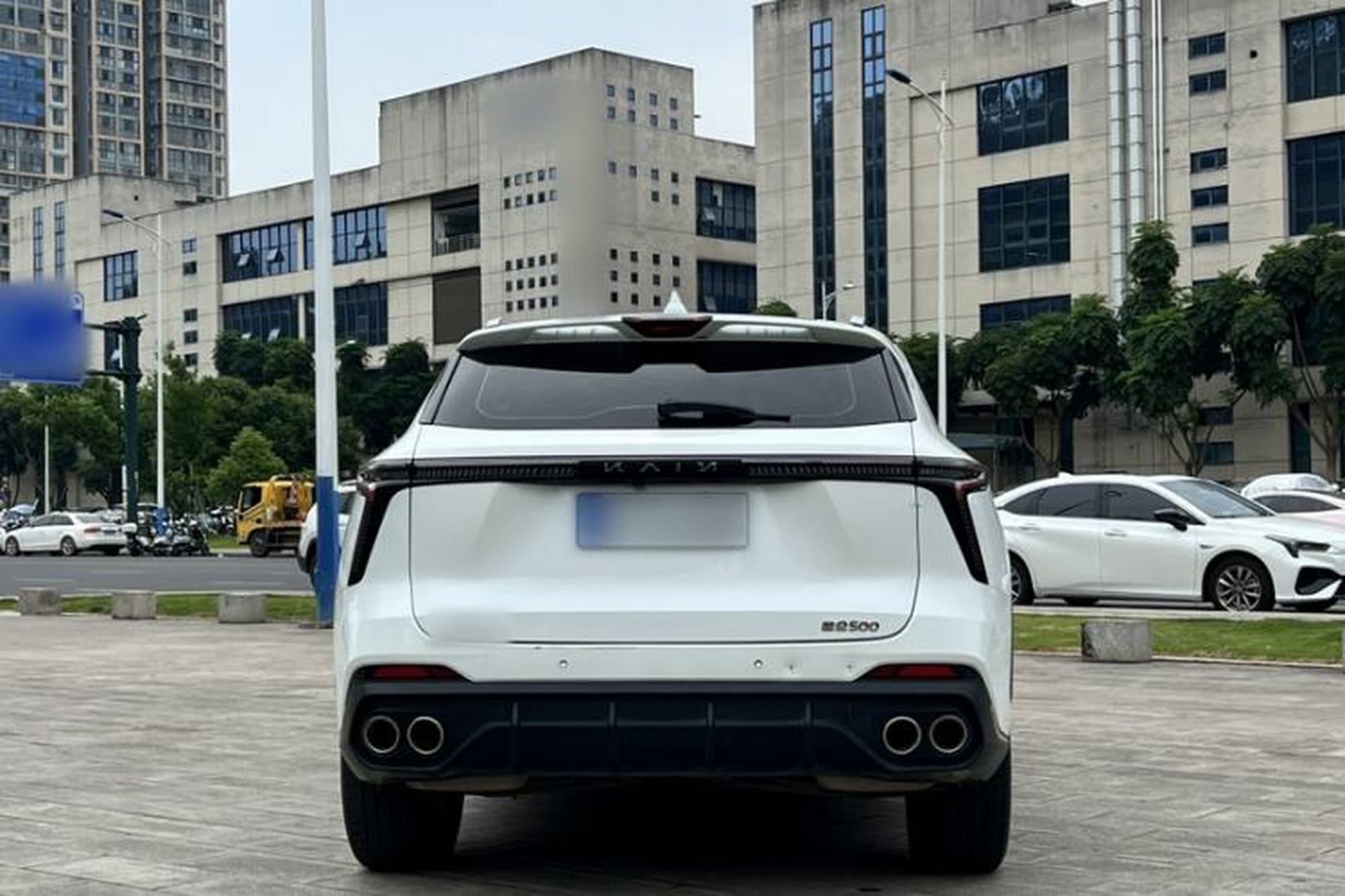 miniatura 14