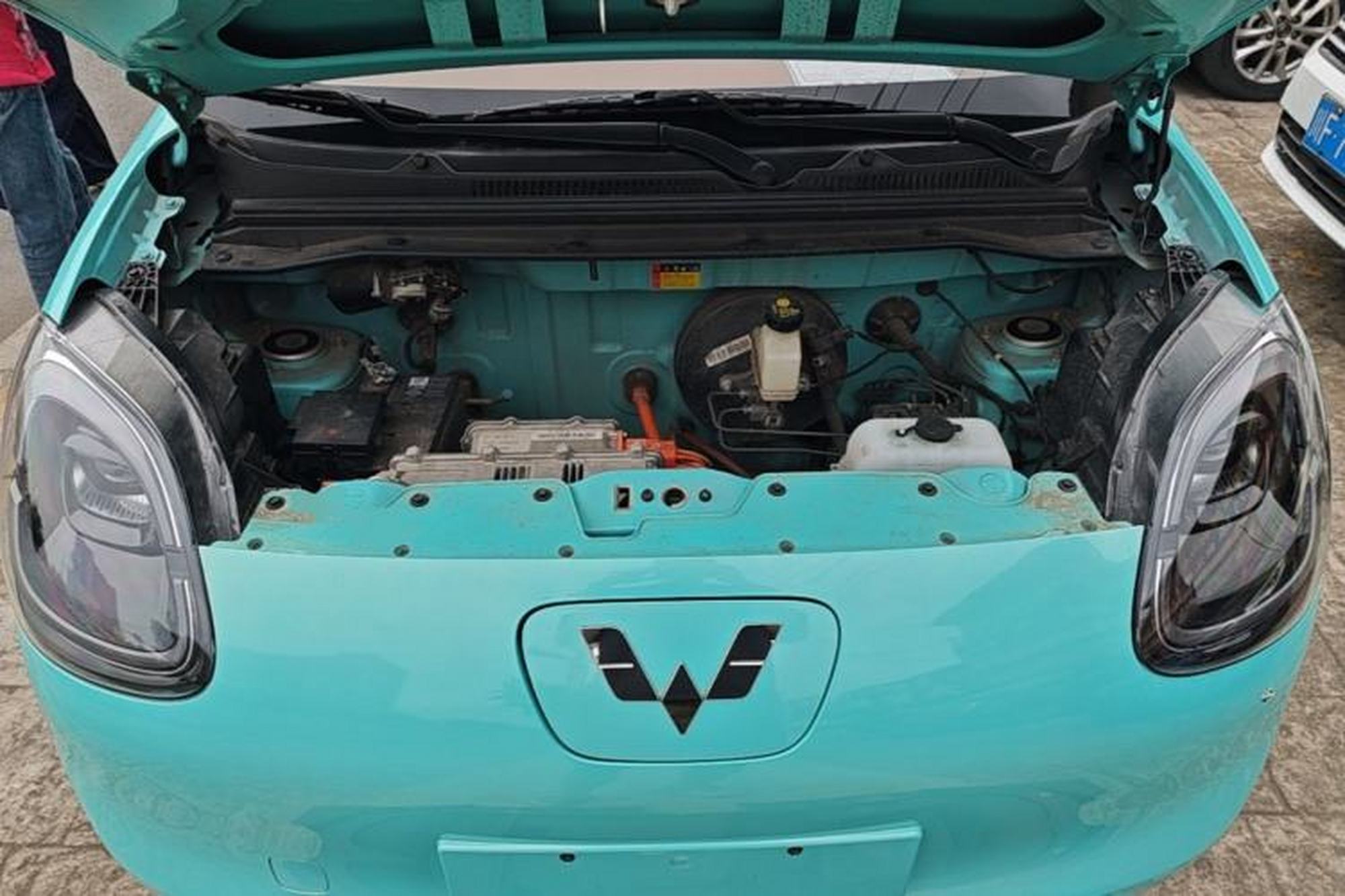 miniatura 24