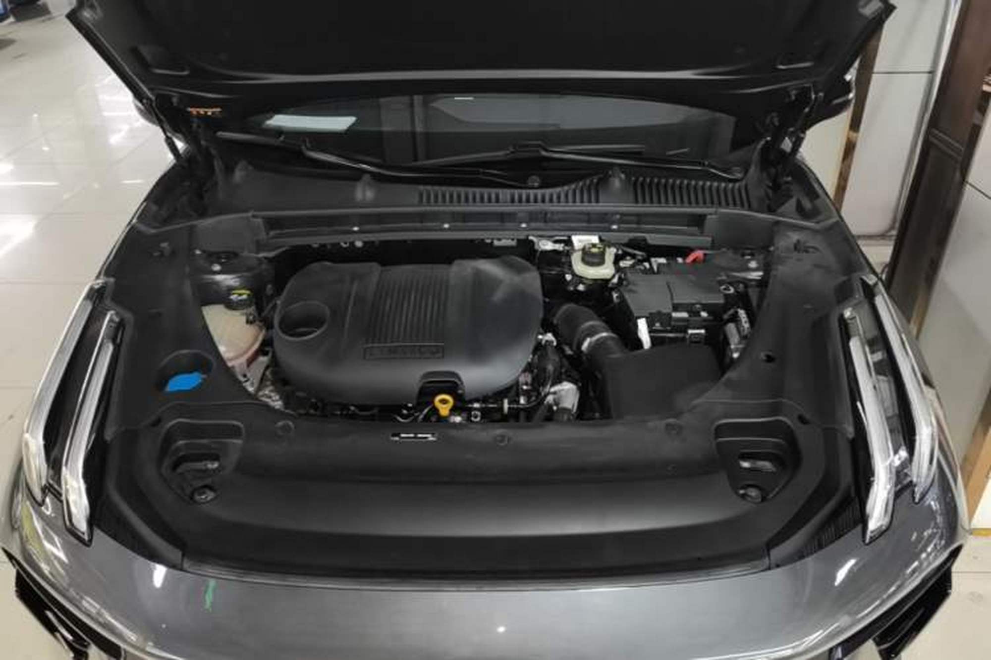 miniatura 24