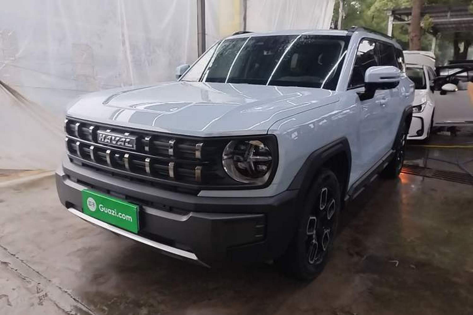 Haval X DOG