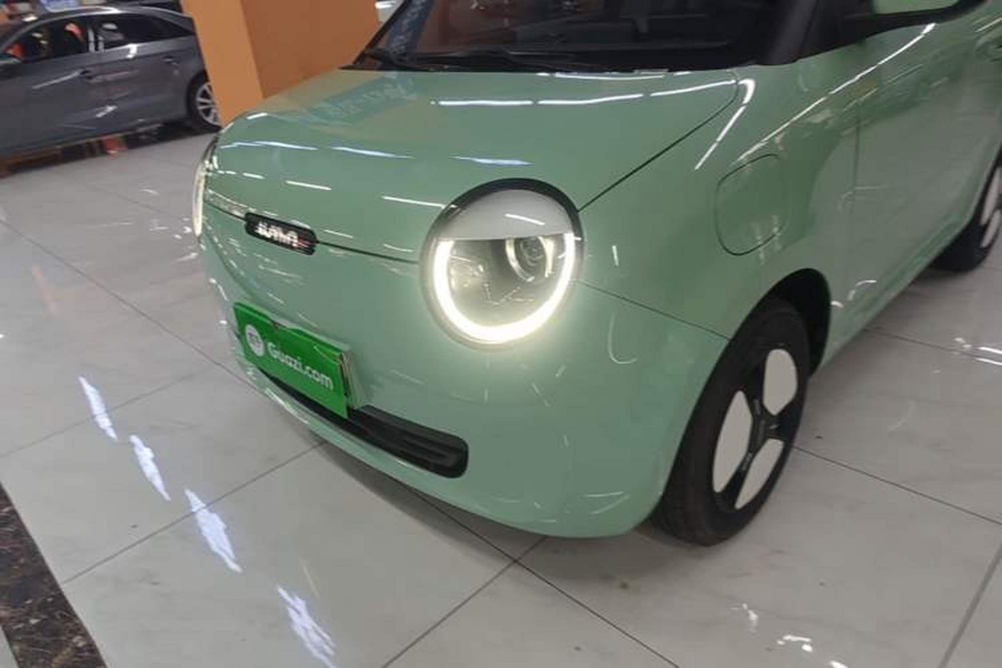 miniatura 8