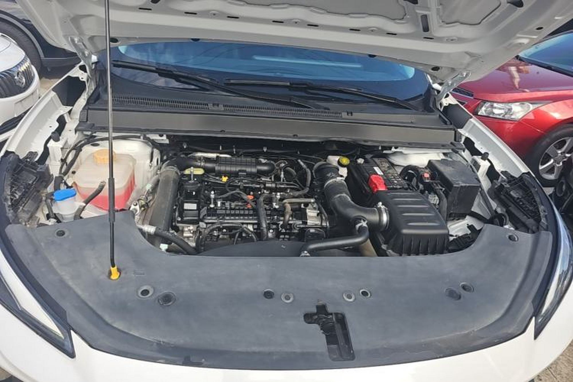 miniatura 24