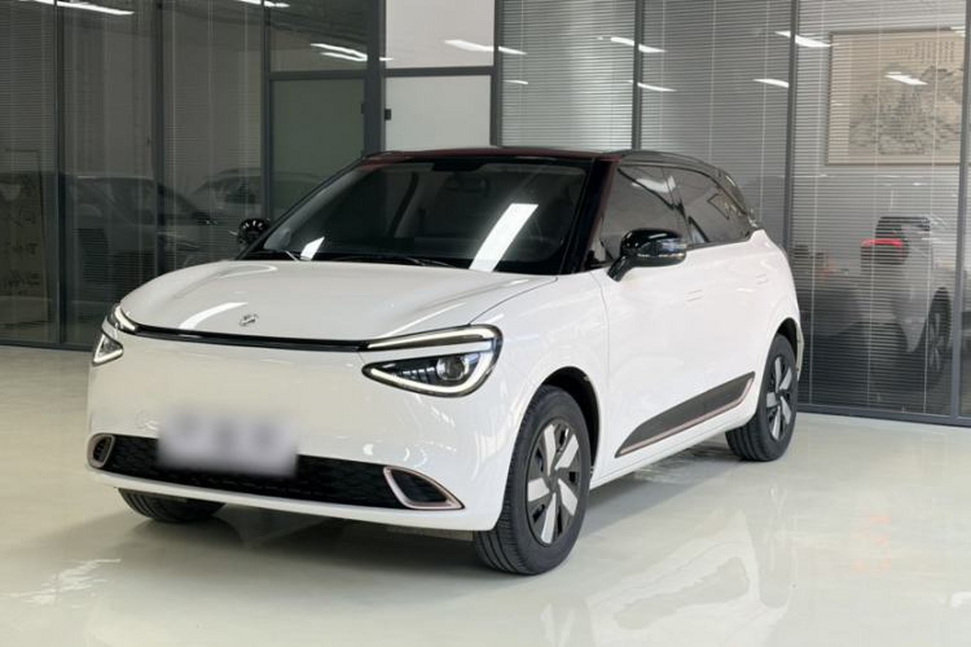 miniatura 16