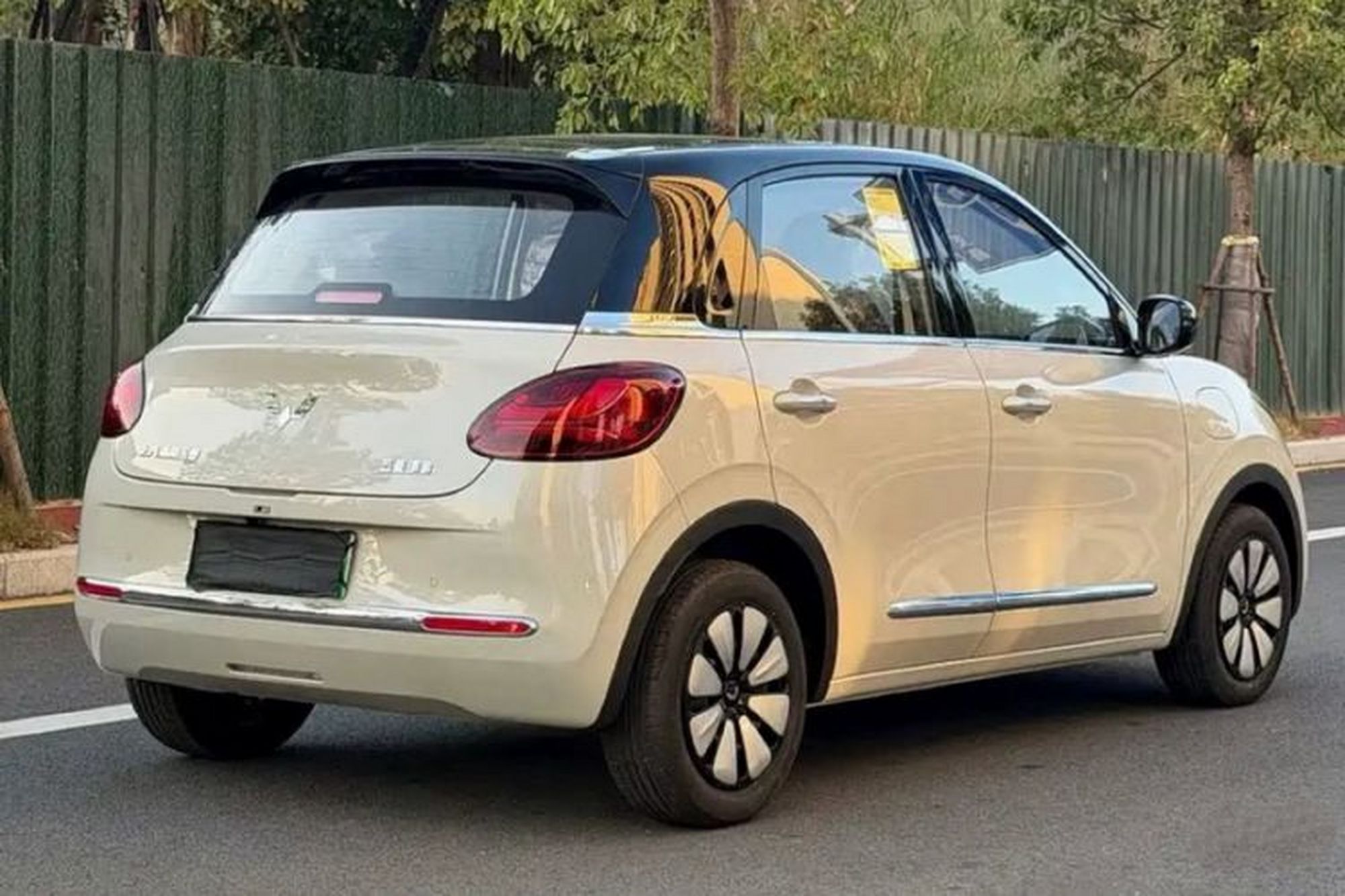 miniatura 13