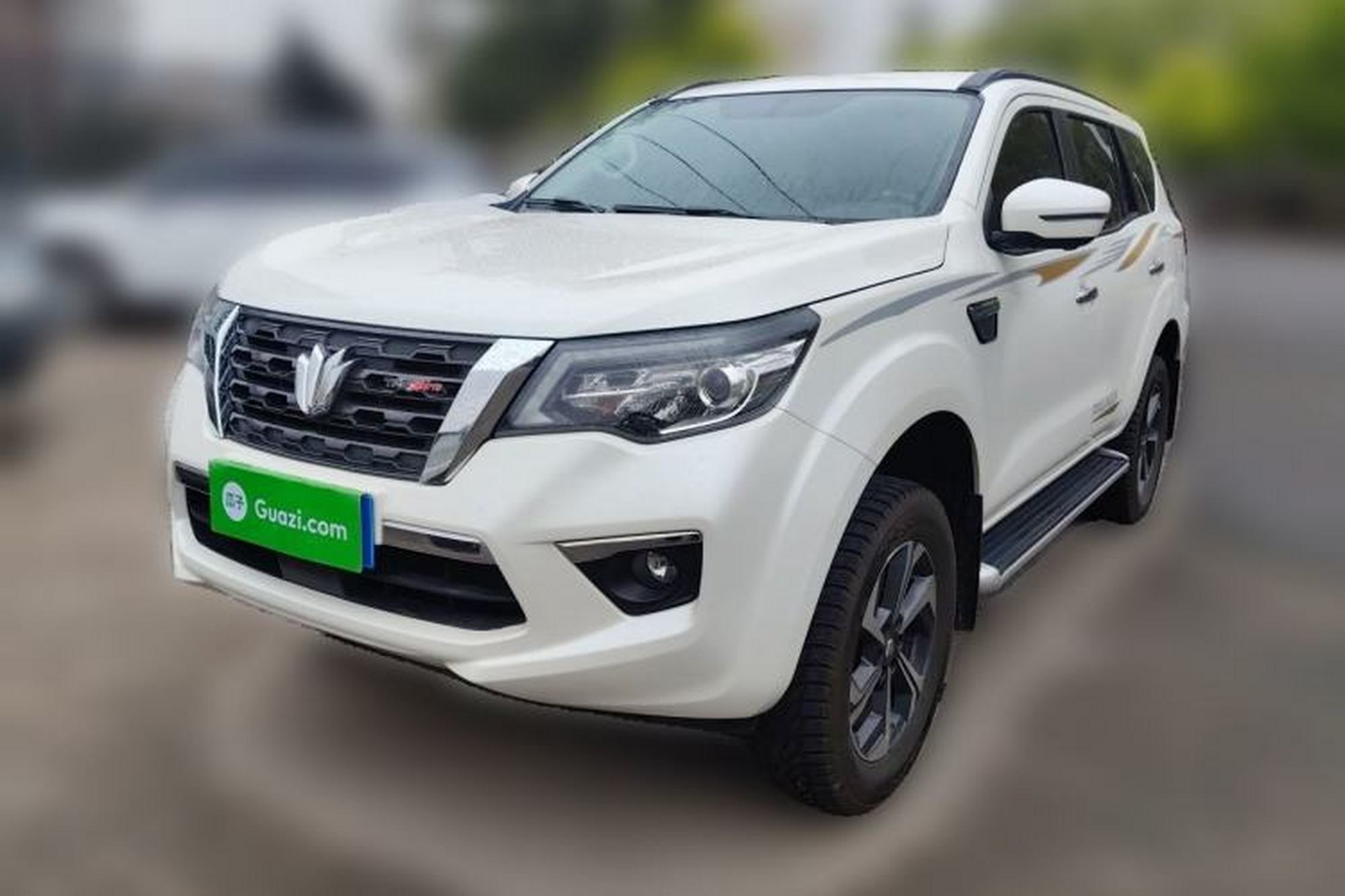 Dongfeng Fengdu Paladin
