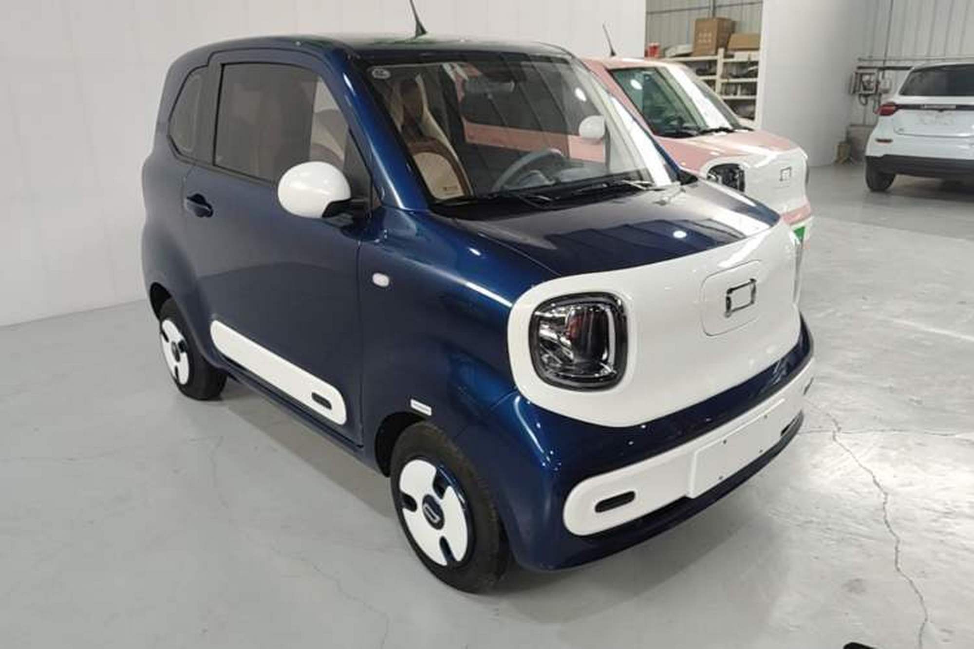 miniatura 3