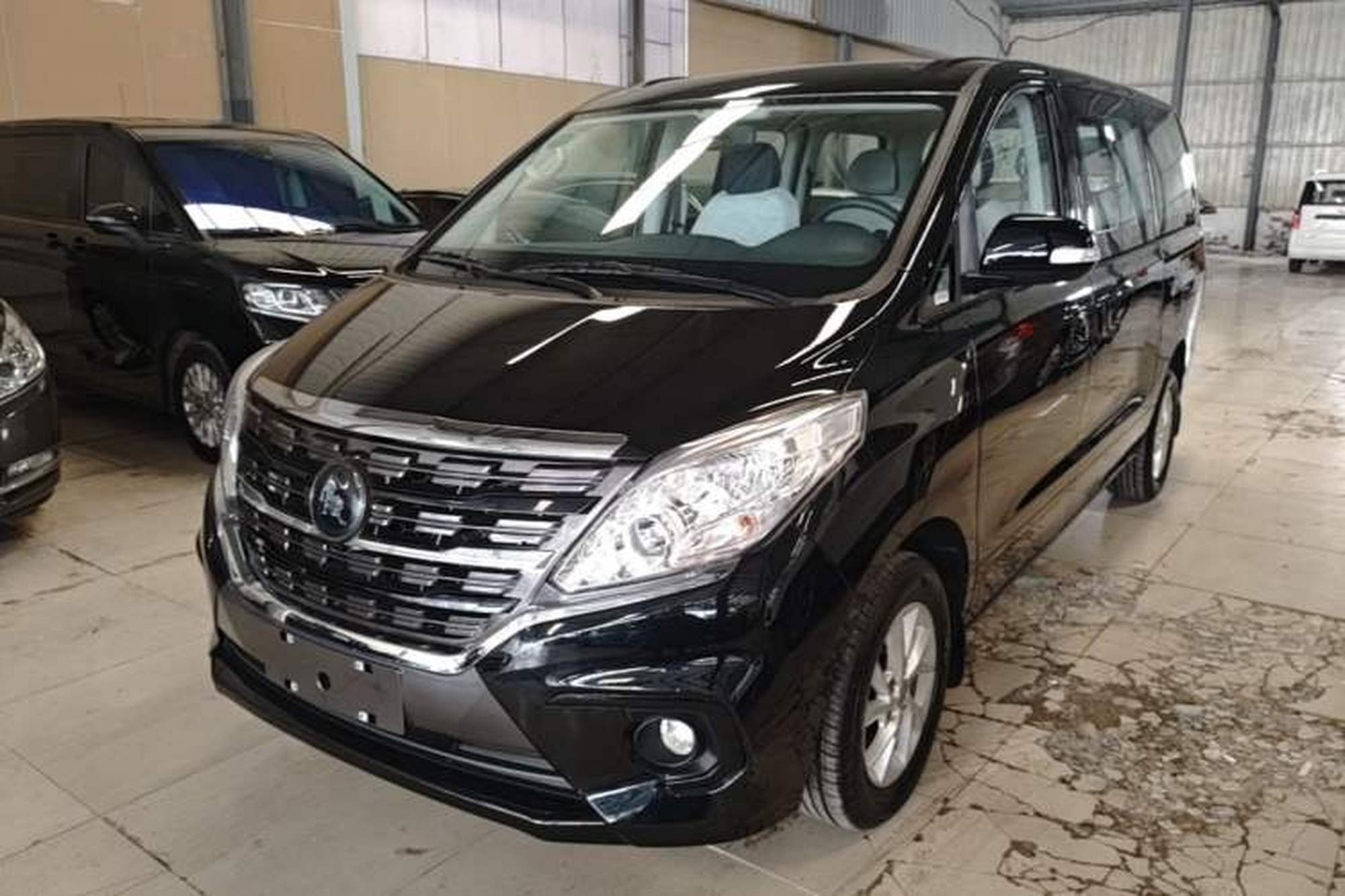 FORTHING Lingzhi PLUS