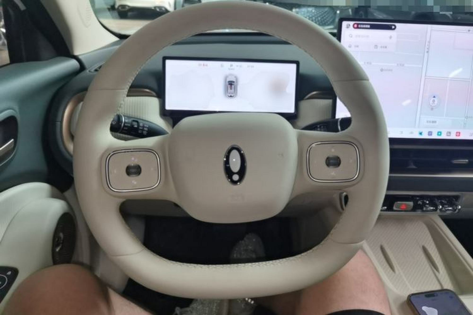 miniatura 13
