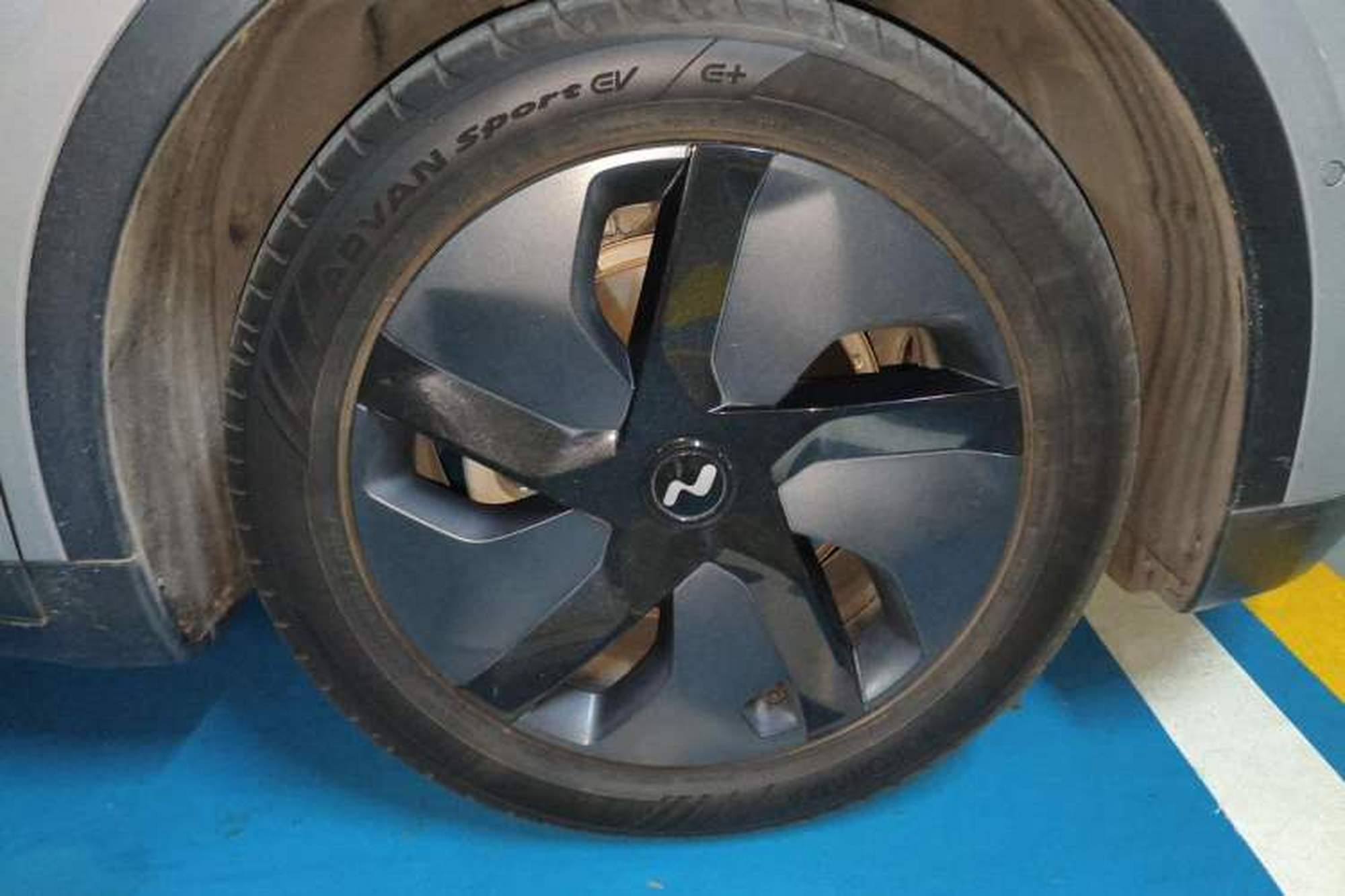 miniatura 8
