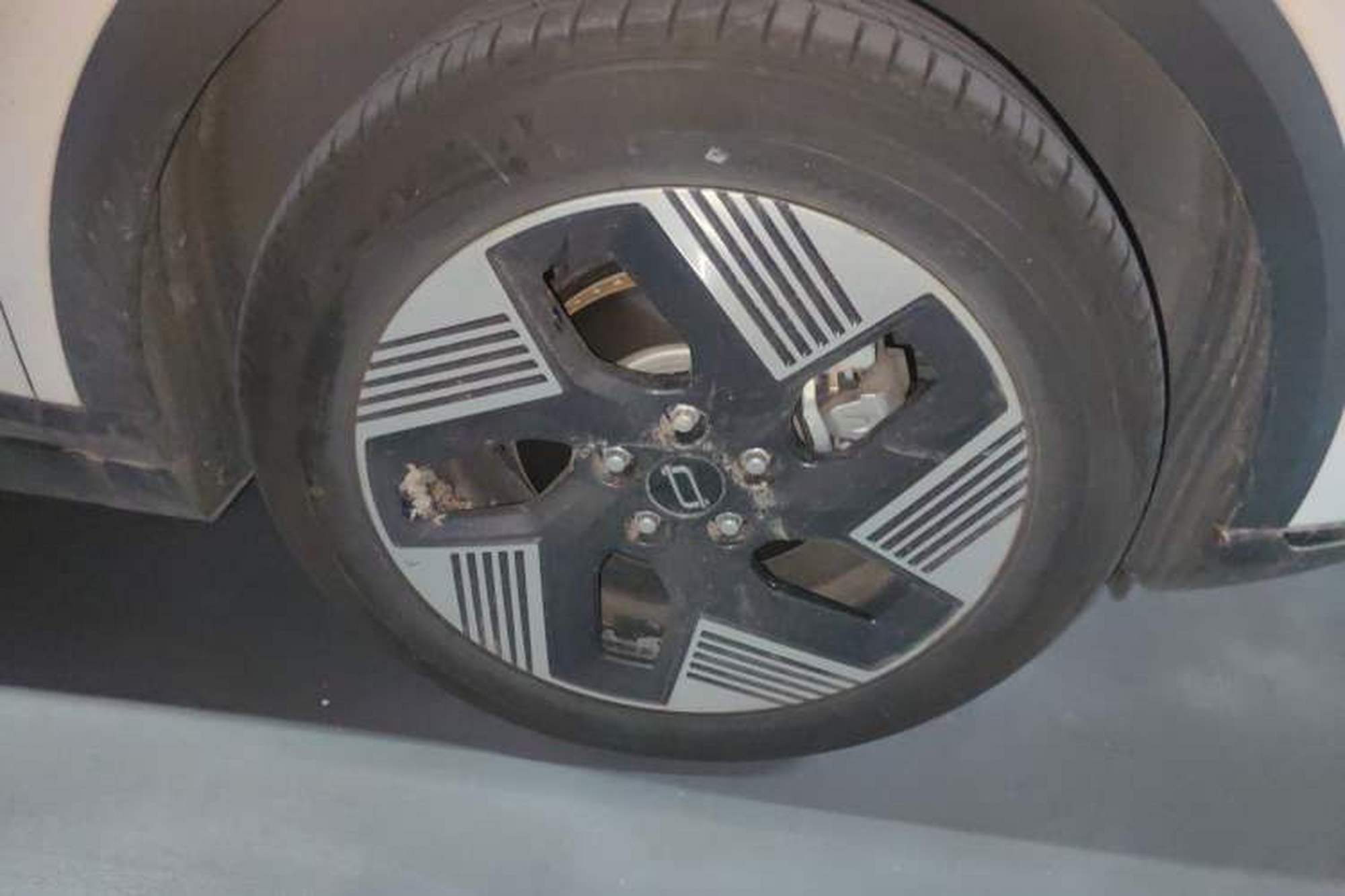 miniatura 8