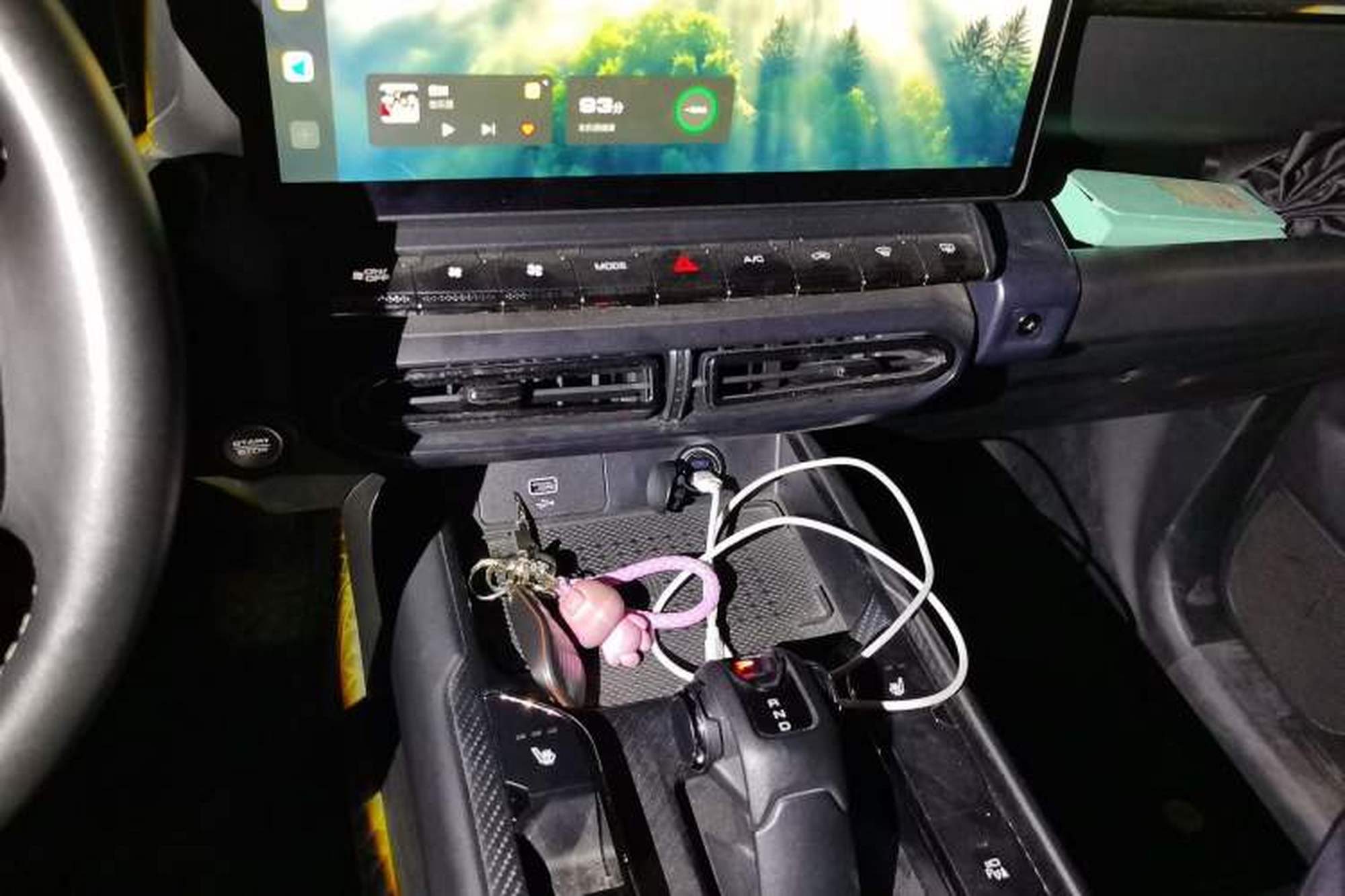 miniatura 13
