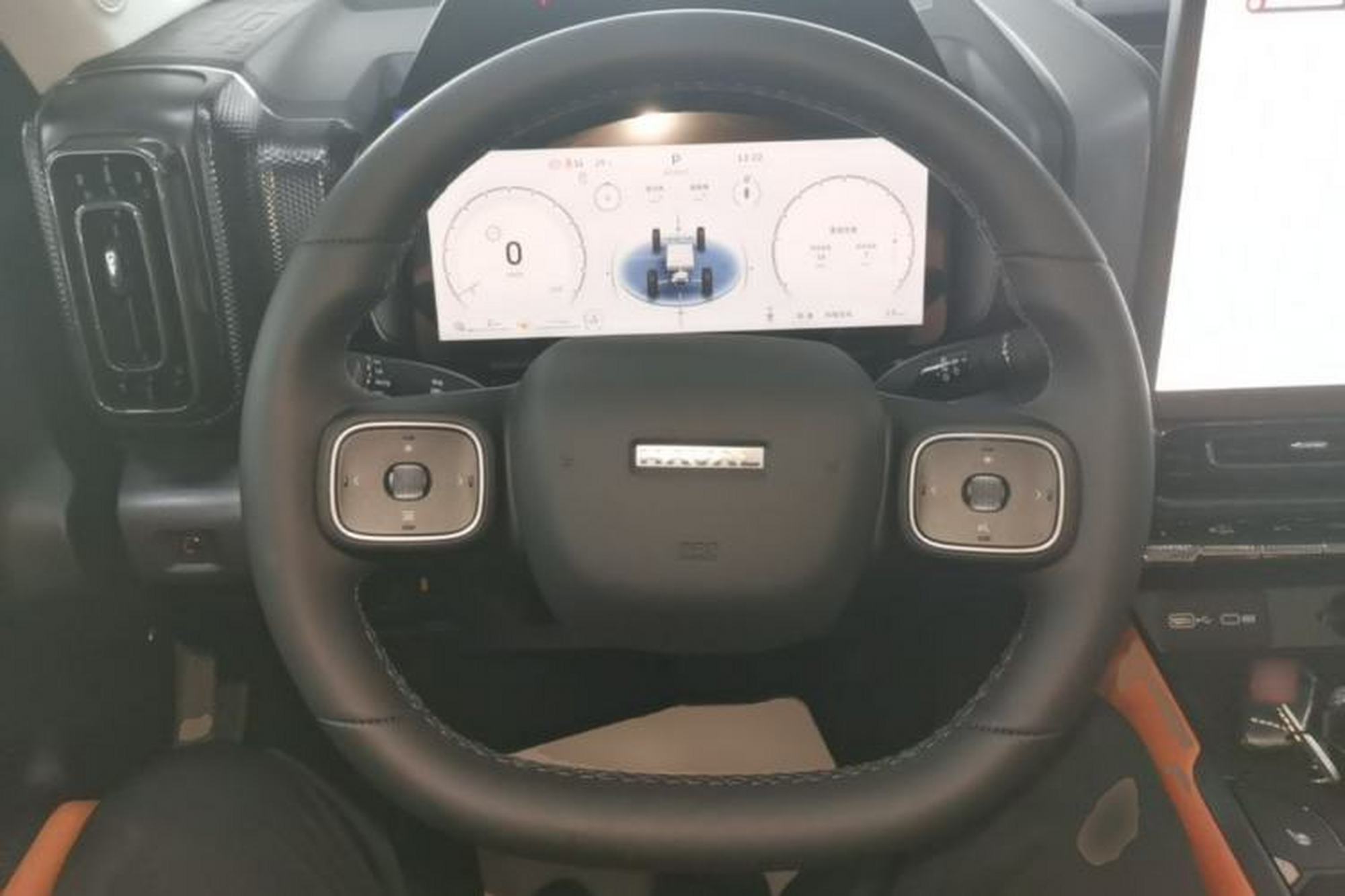miniatura 13