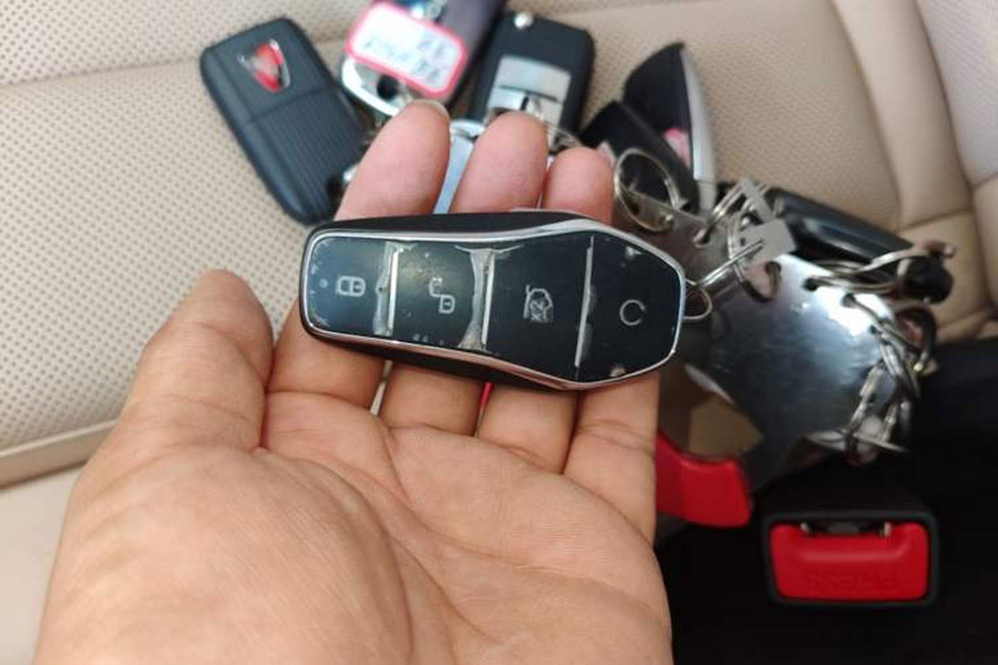 miniatura 23