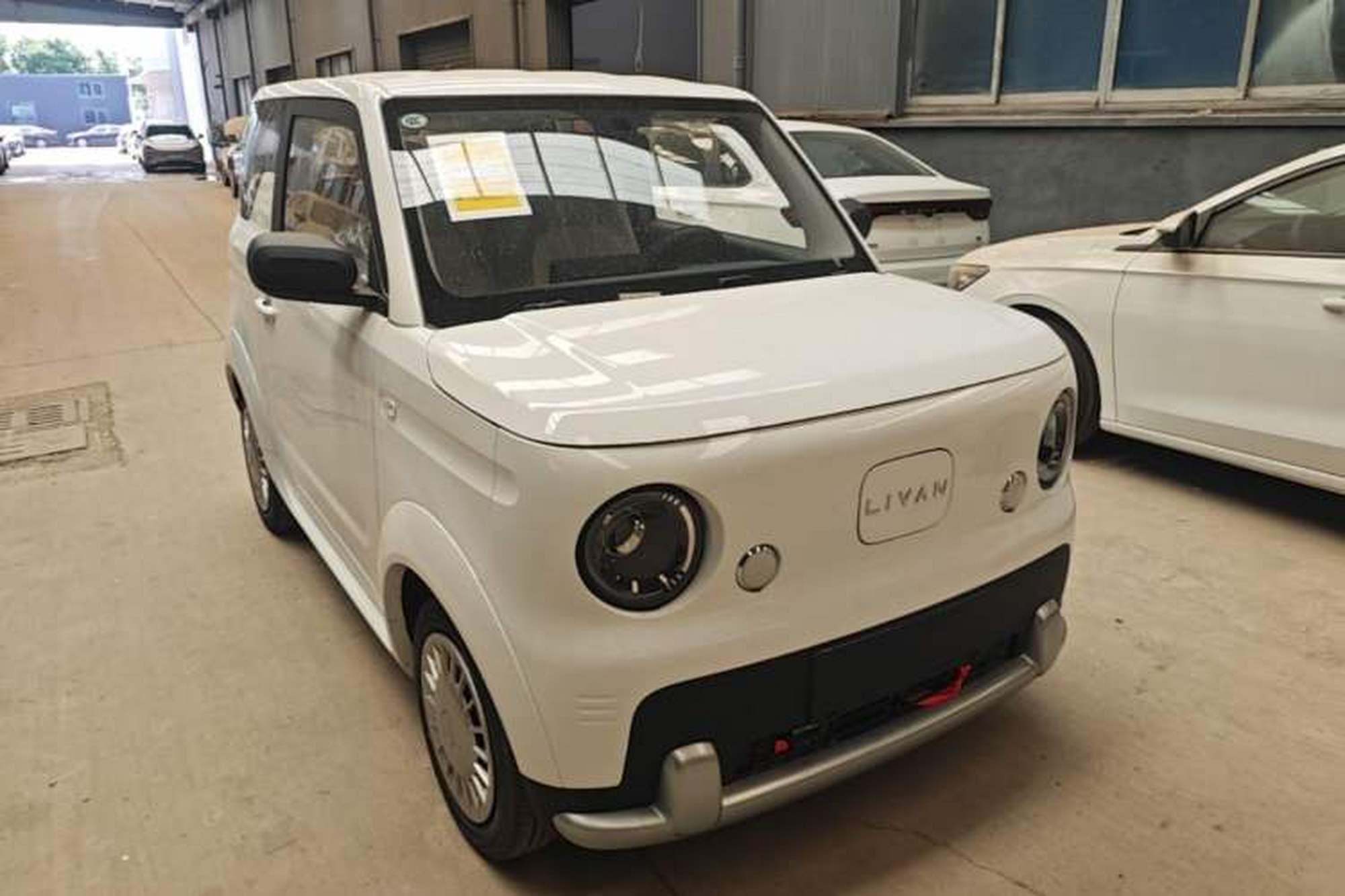 miniatura 3