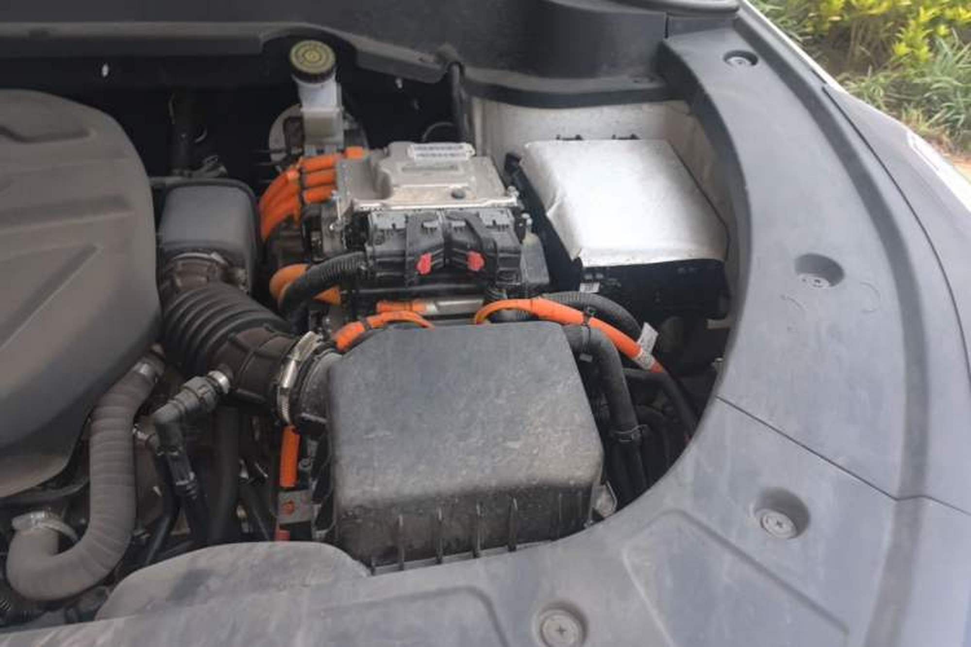 miniatura 22