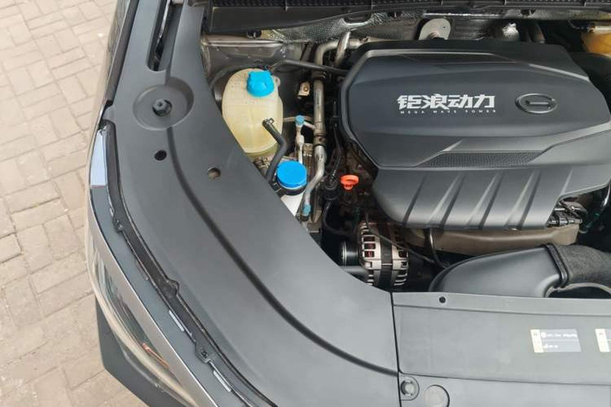 miniatura 23