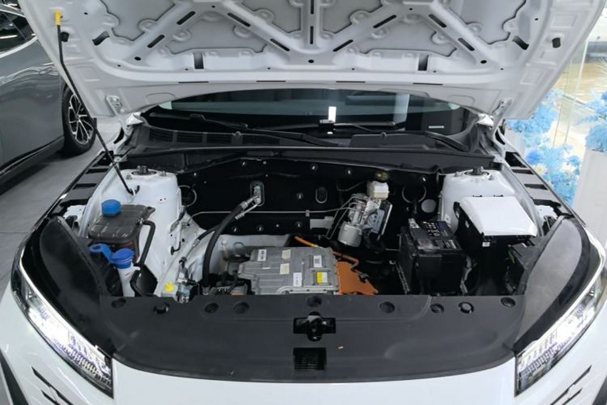 miniatura 24