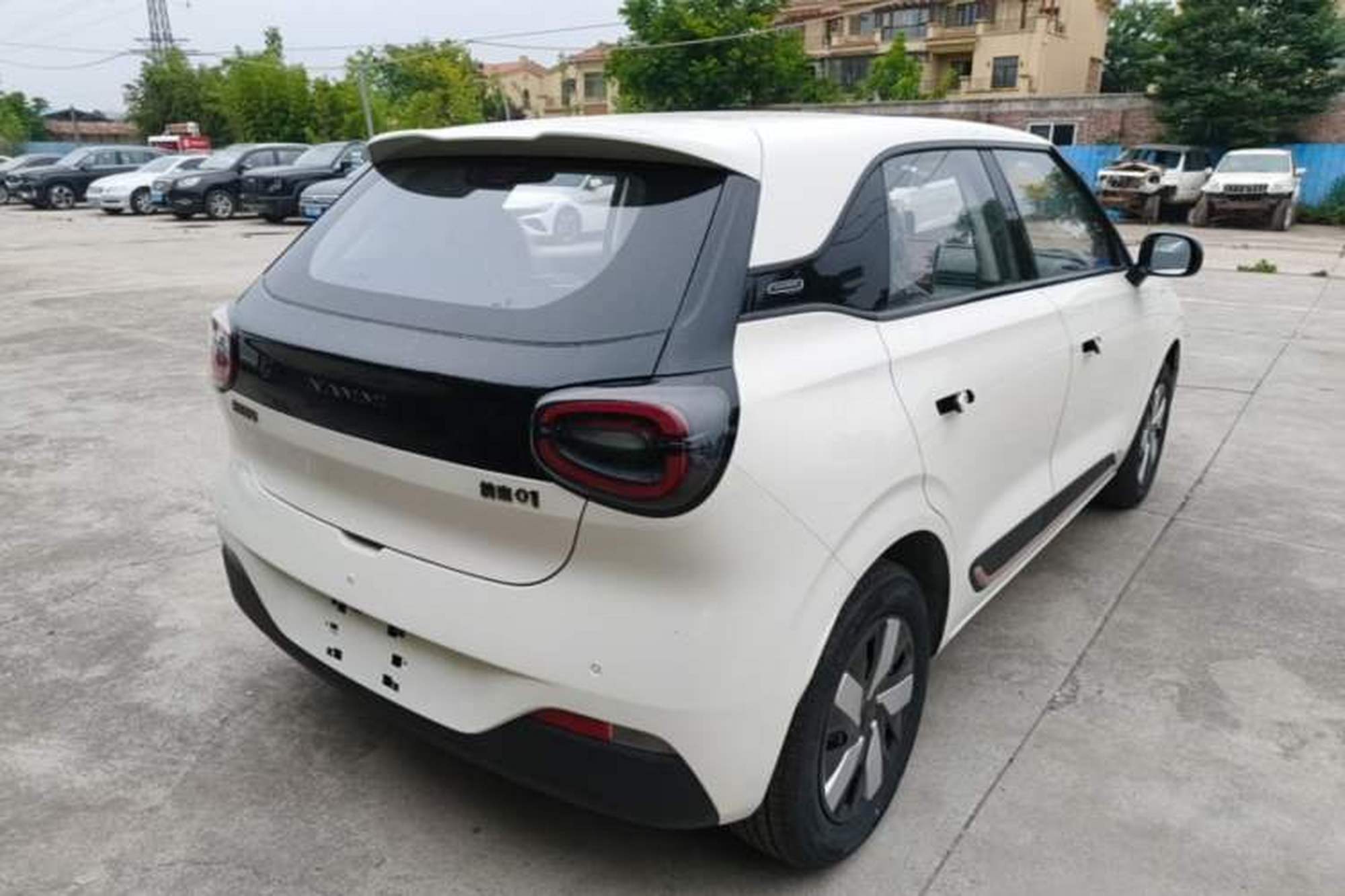 miniatura 6