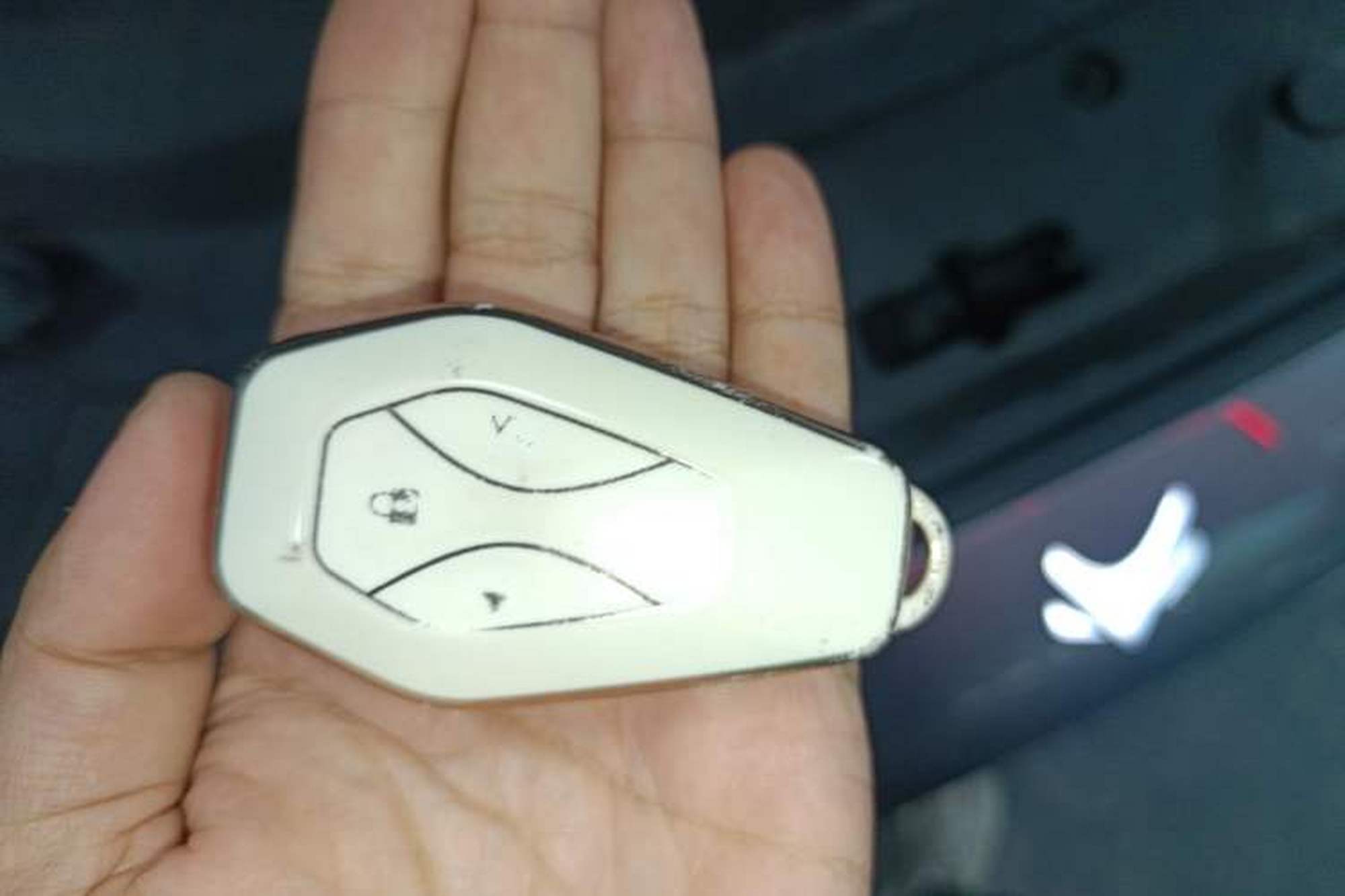 miniatura 23