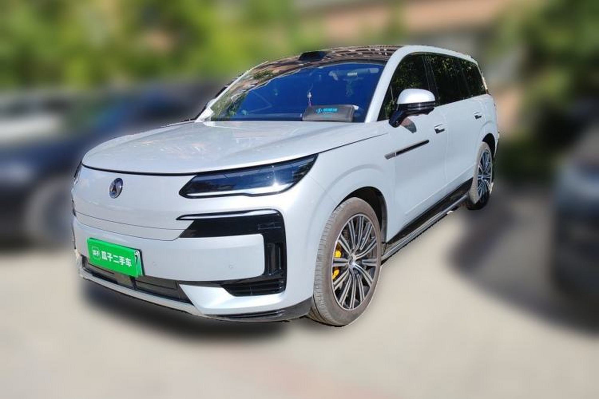 Denza N9