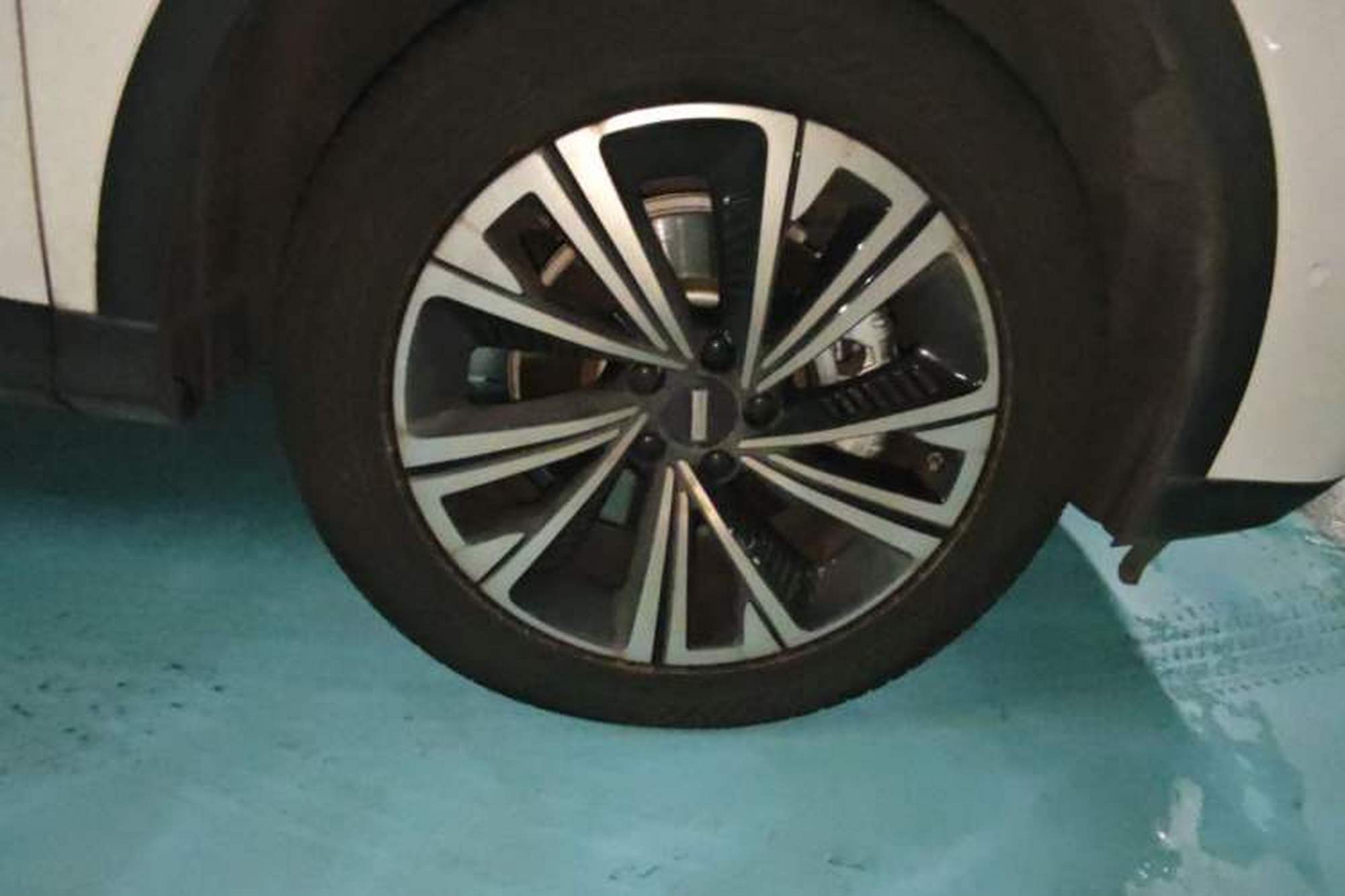 miniatura 8