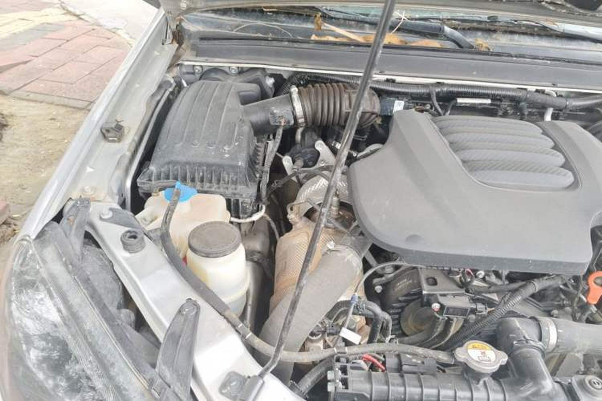 miniatura 23