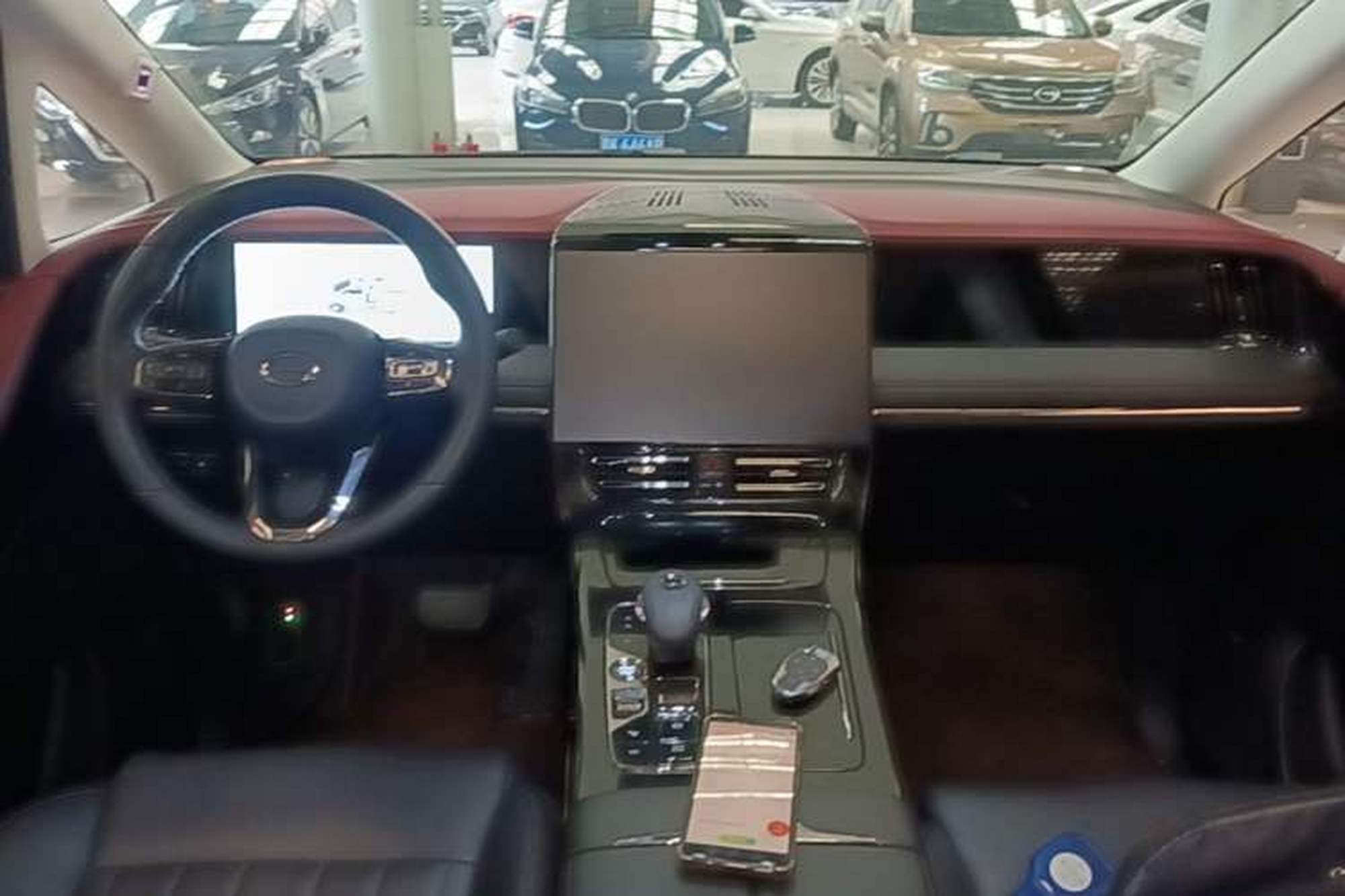 miniatura 21
