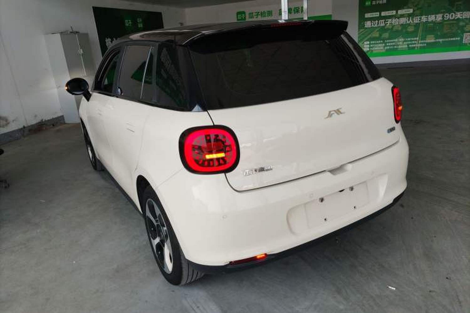 miniatura 13