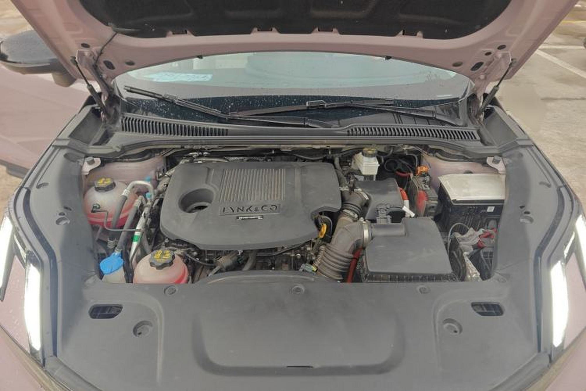 miniatura 24
