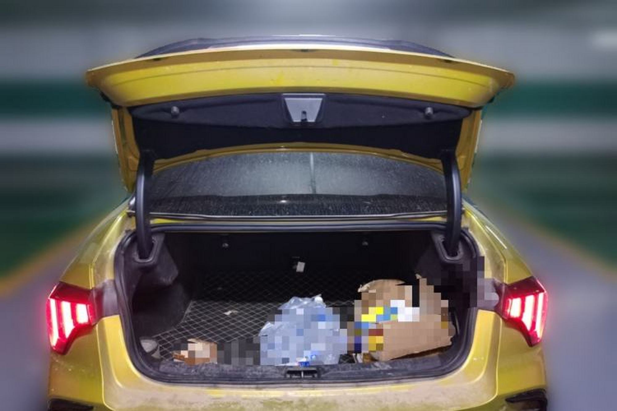 miniatura 19