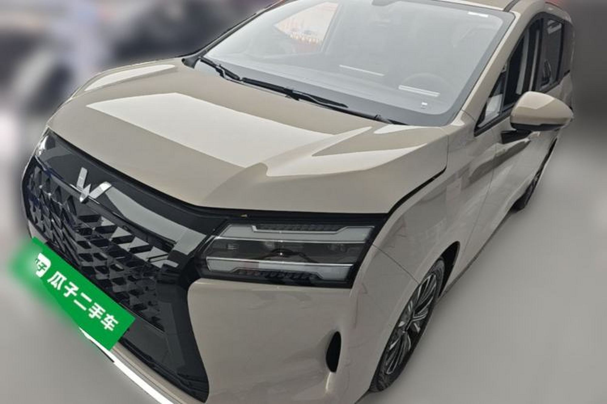 WuLing Wuling Starlight 730
