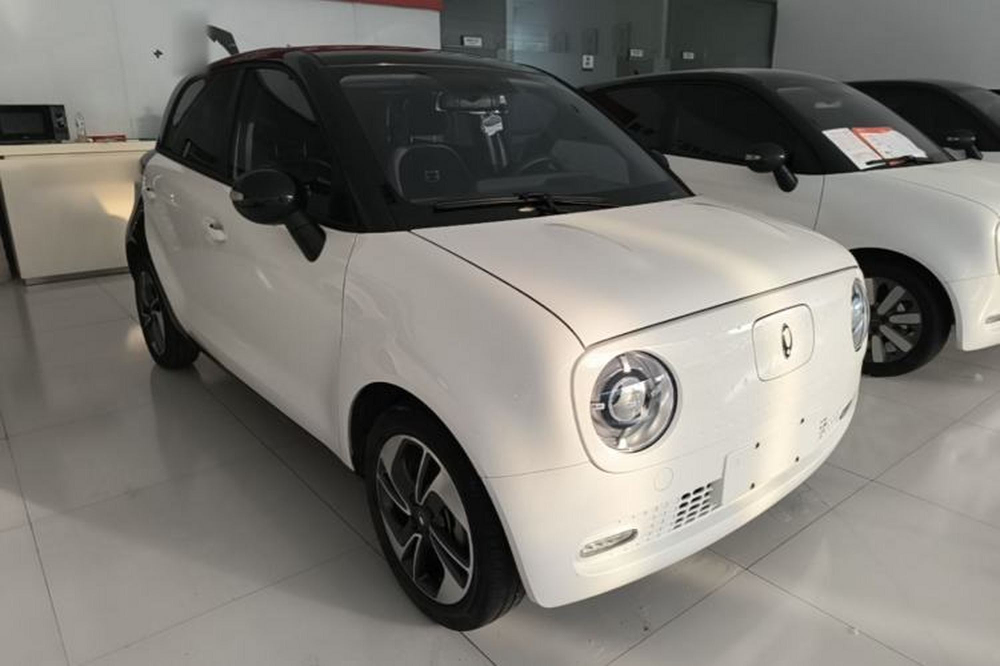 miniatura 12