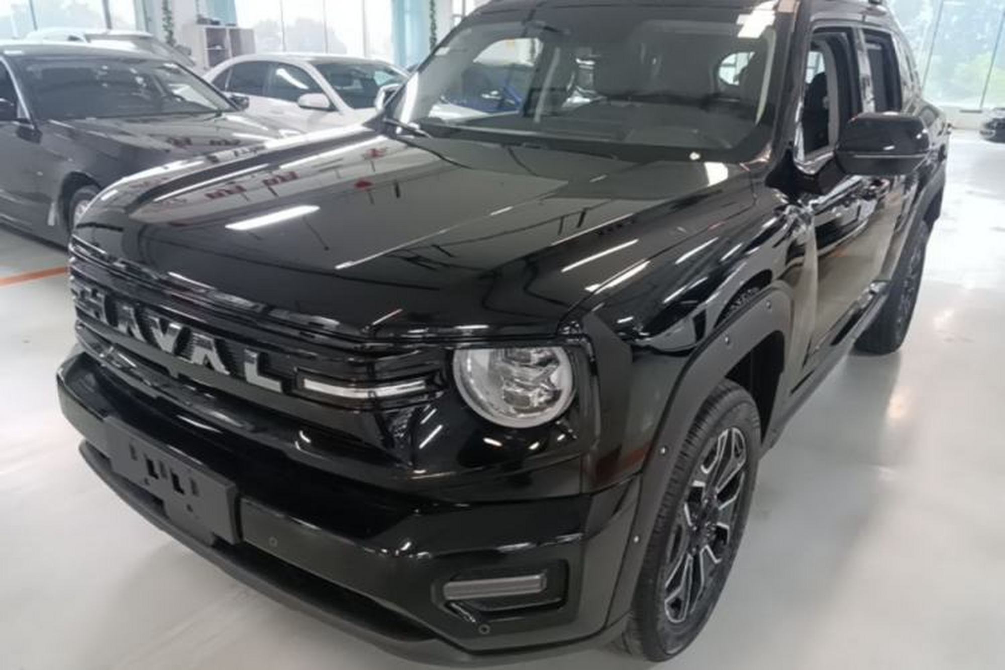 Haval H Dog New Energy