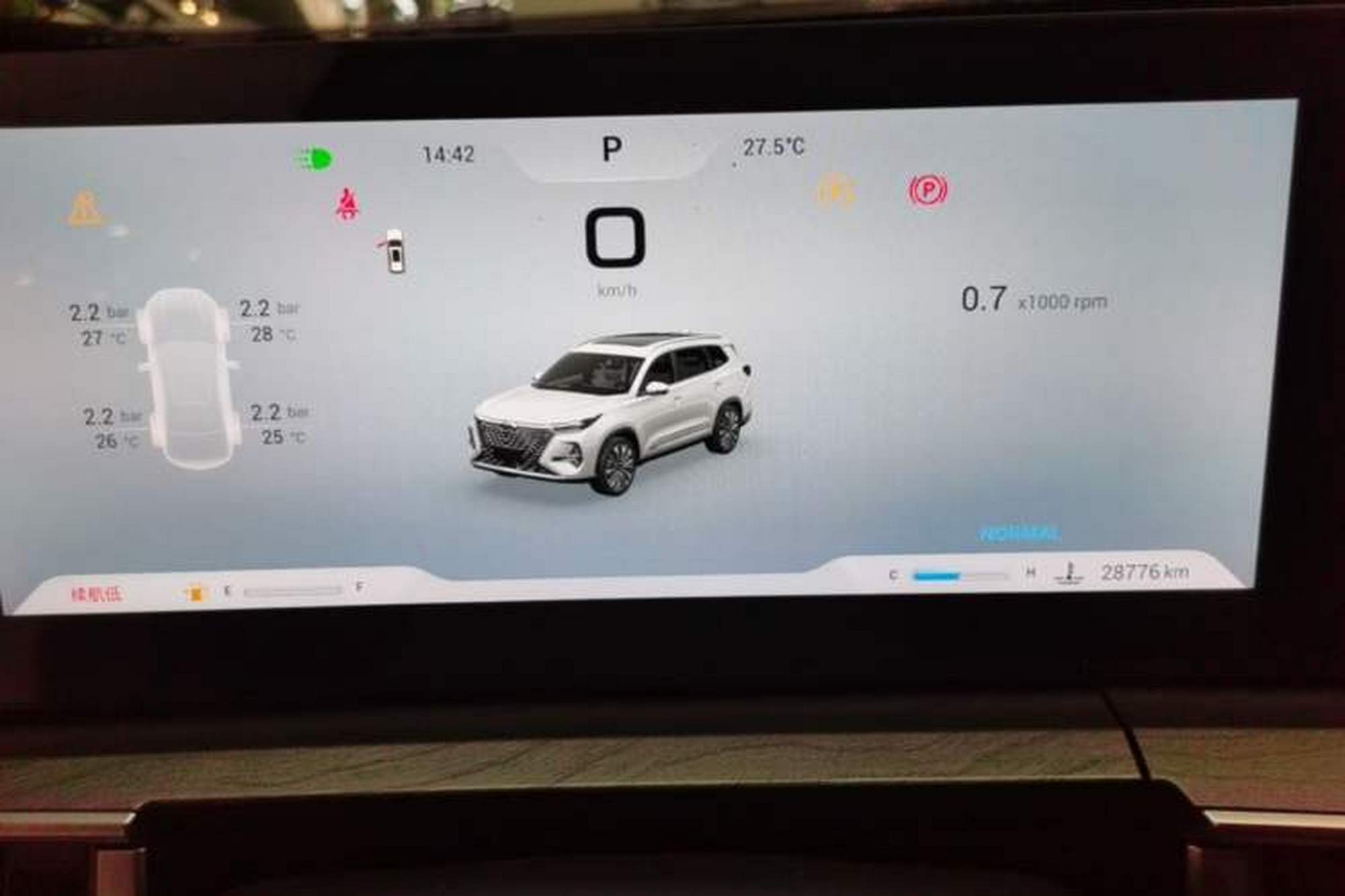 miniatura 19