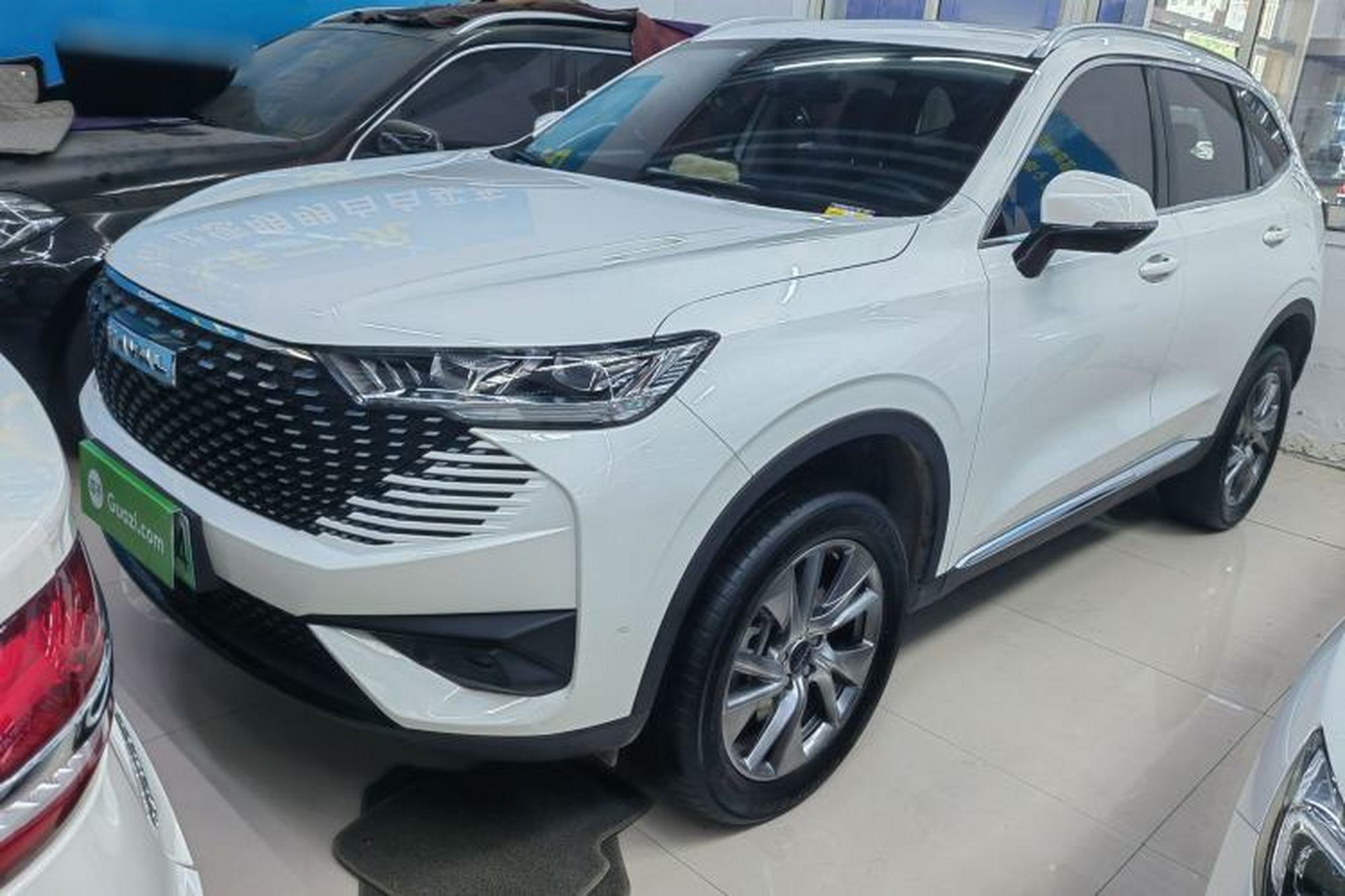 Haval H6 New Energy