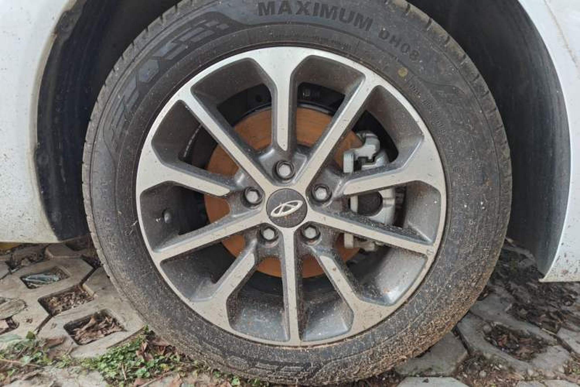 miniatura 8