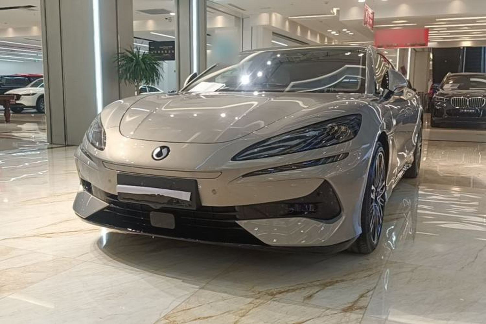 Denza Z9GT