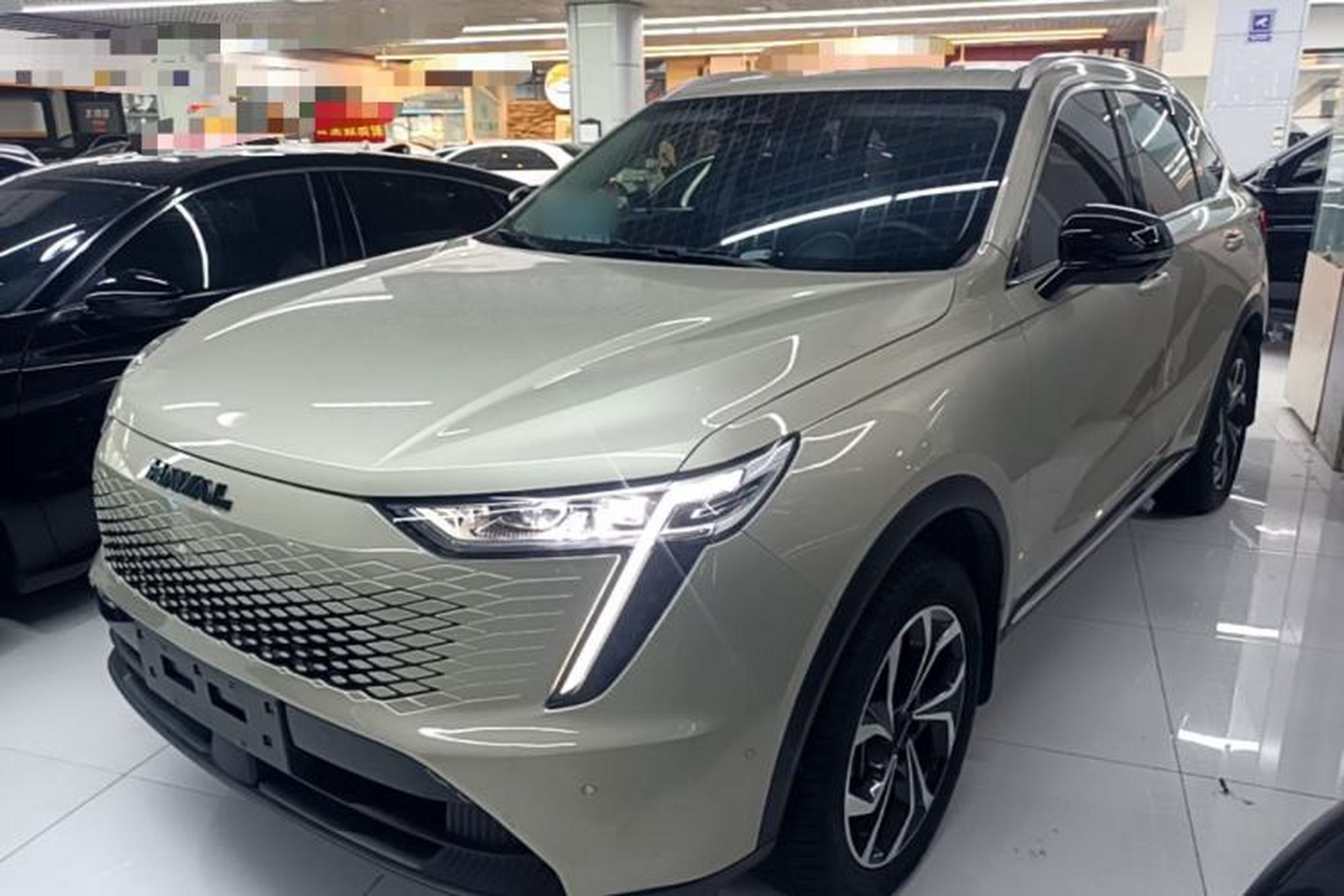 Haval Fierce Dragon Max