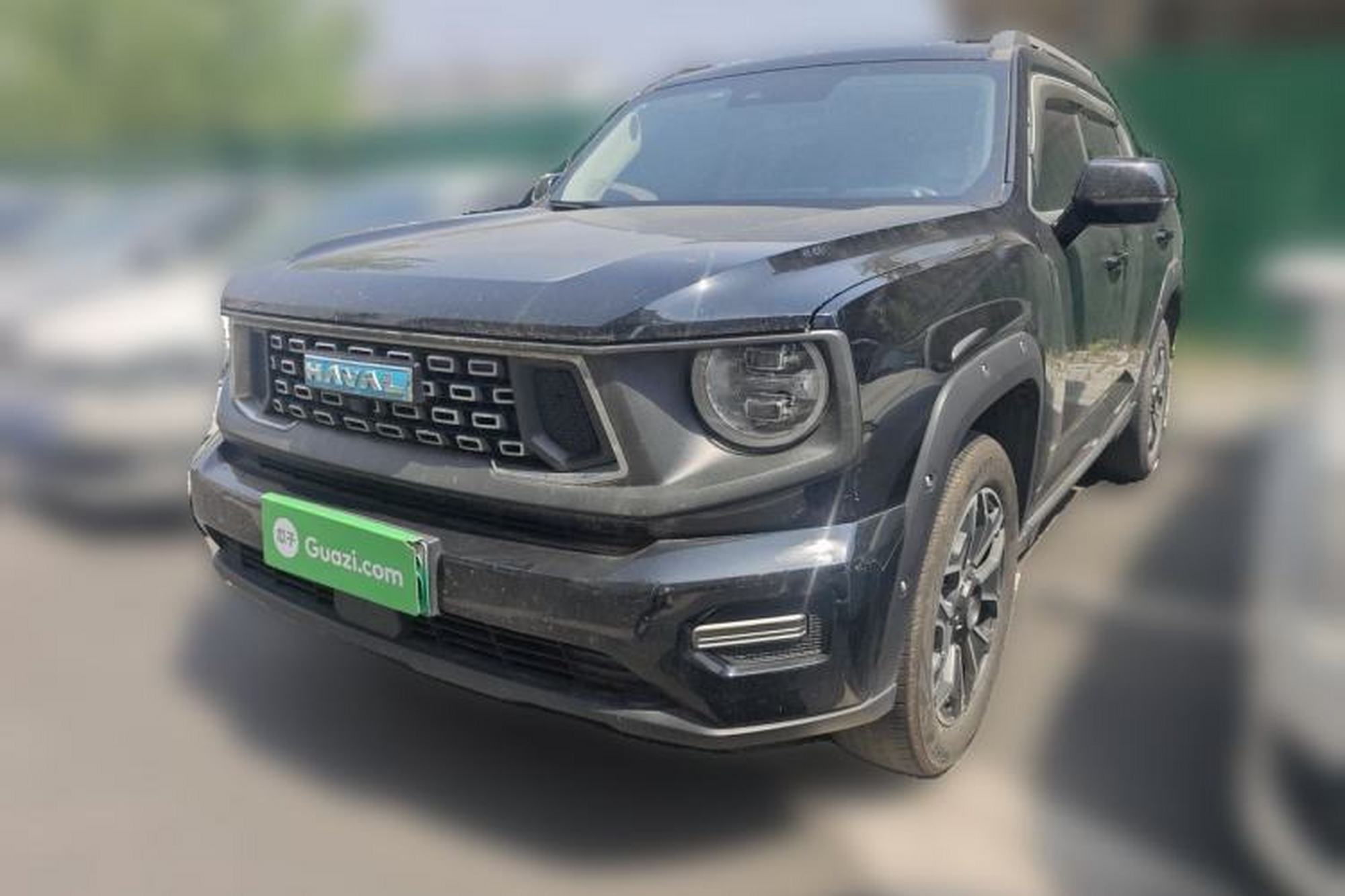 Haval H Dog New Energy