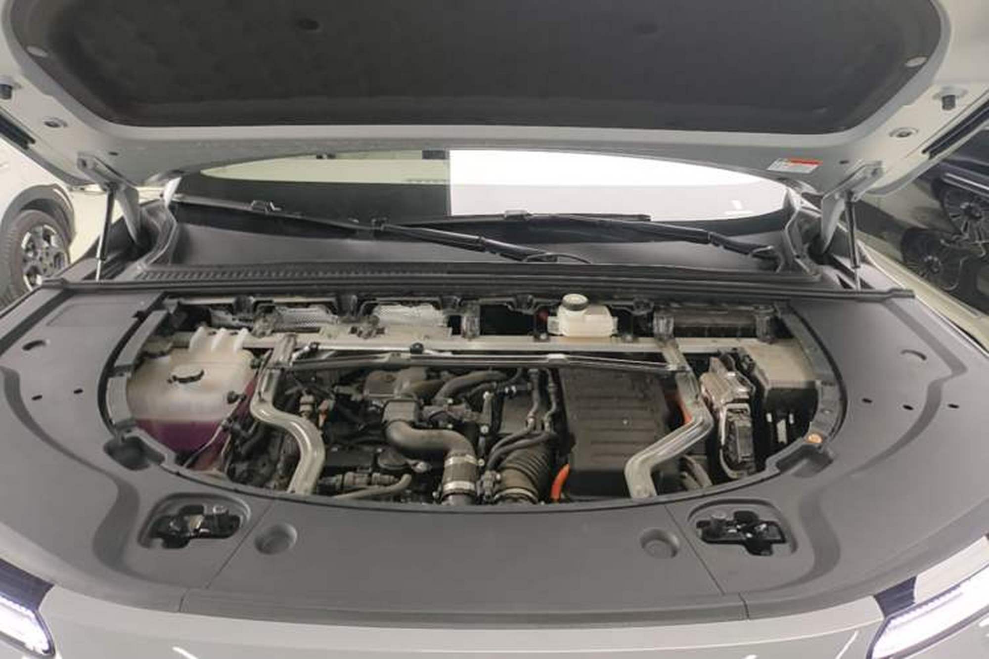 miniatura 24