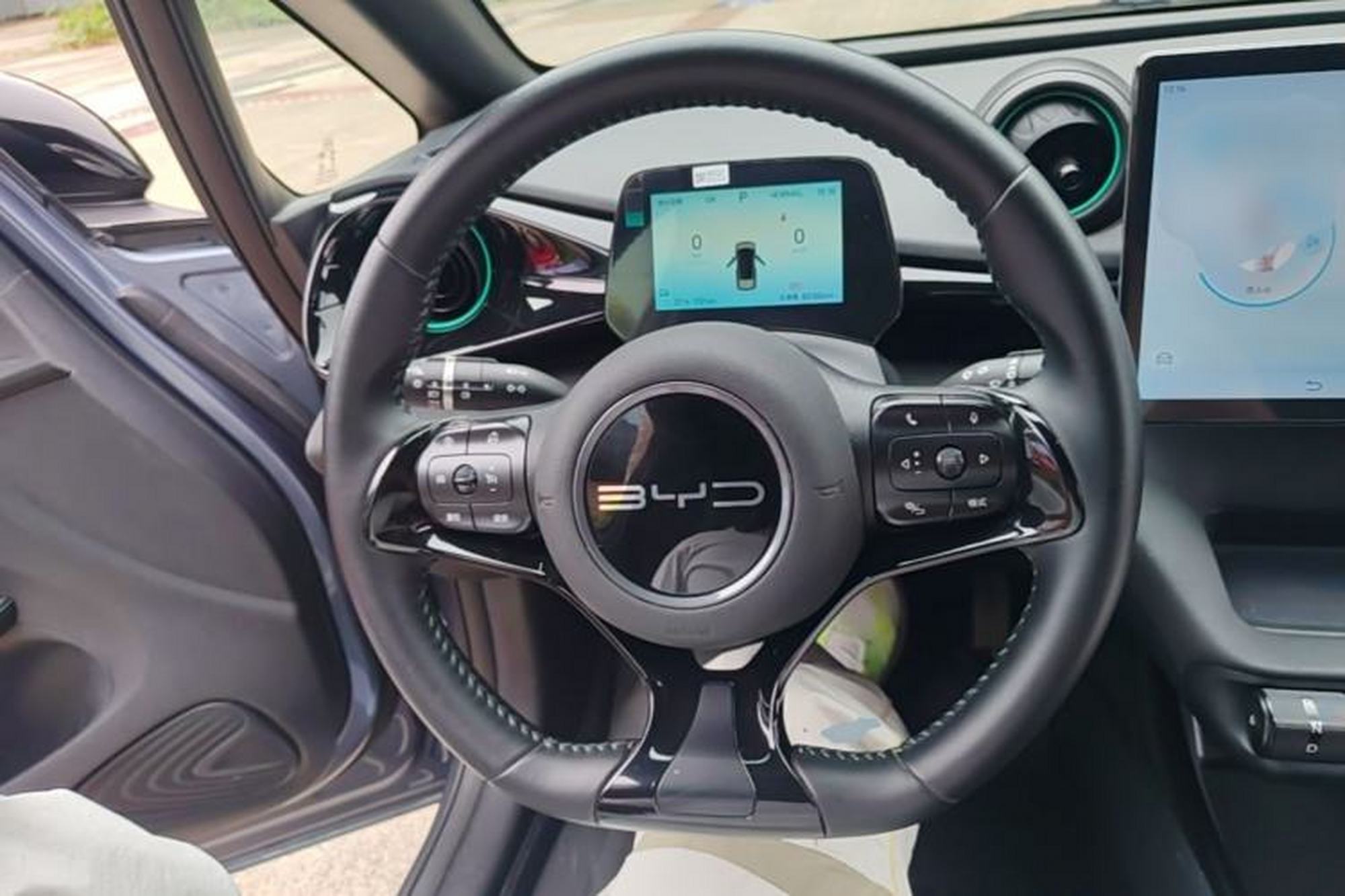 miniatura 13