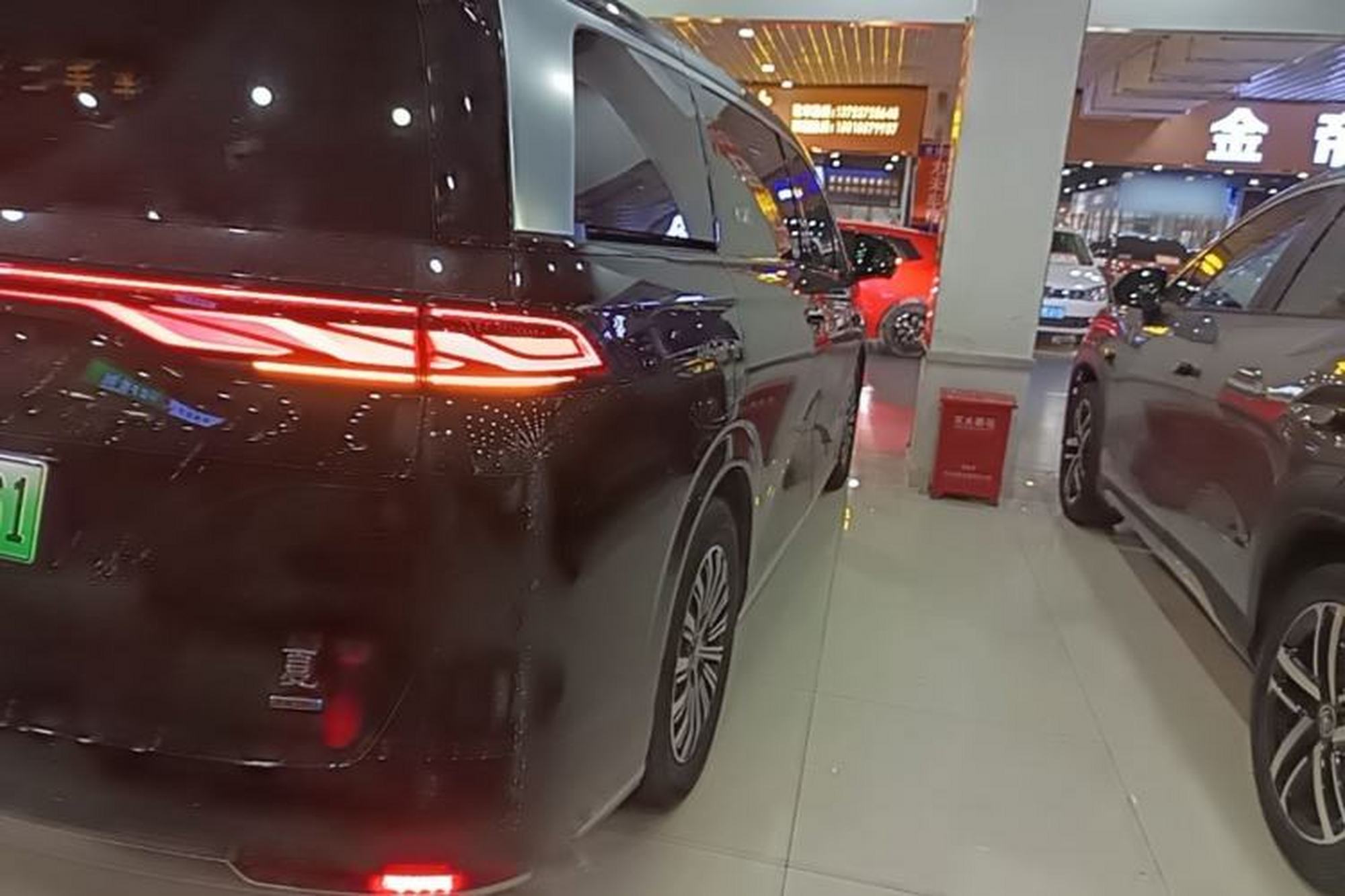 miniatura 9