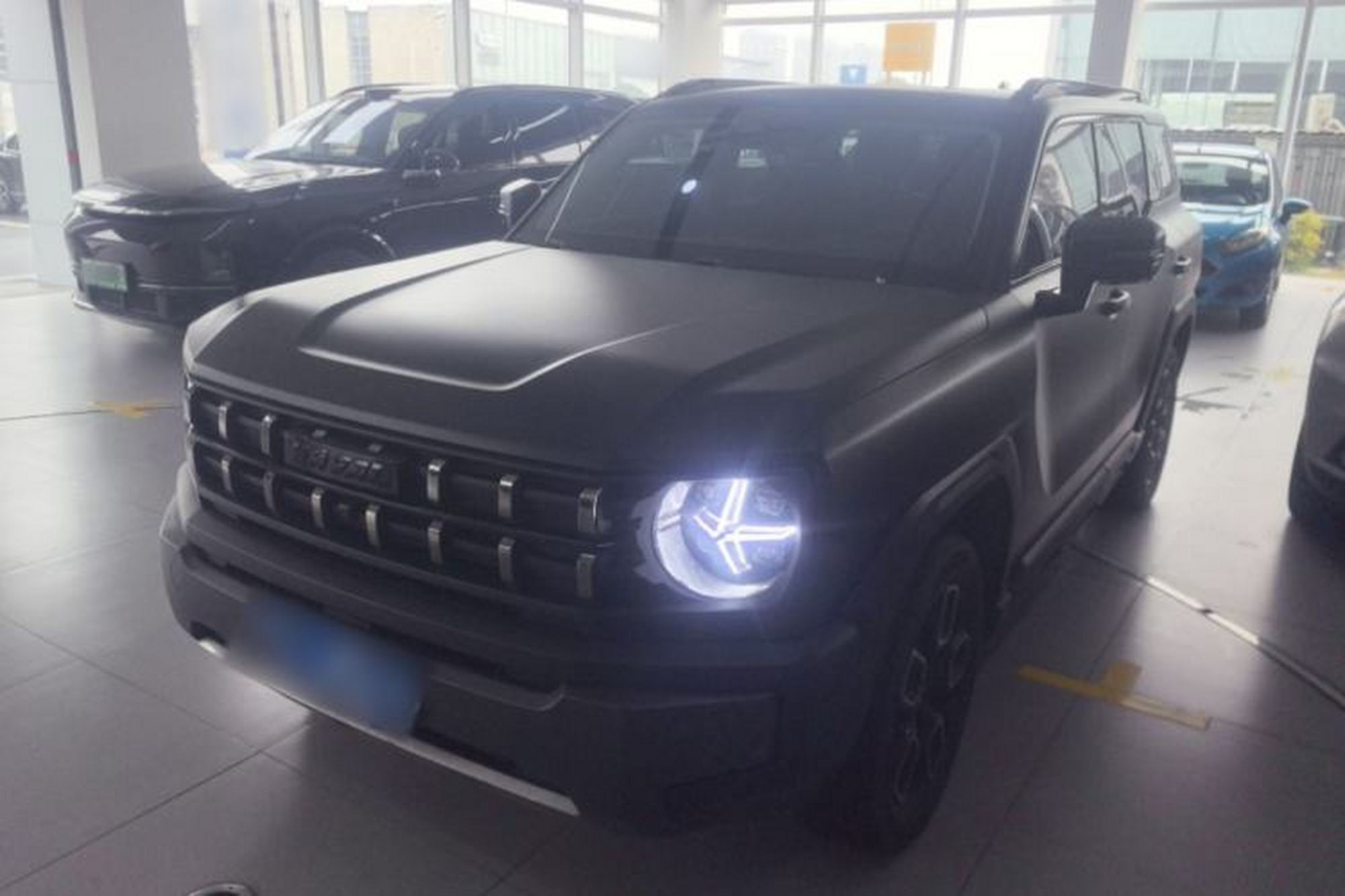 Haval X DOG