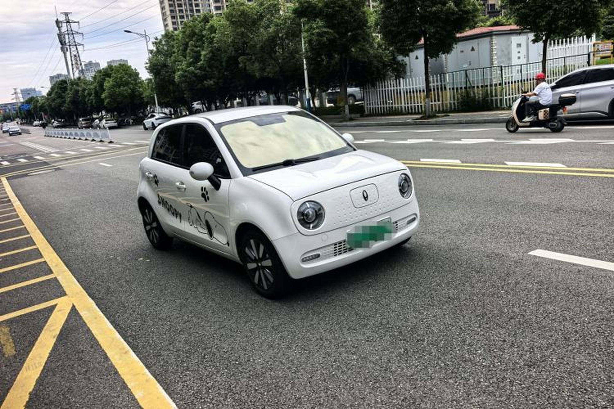 miniatura 14