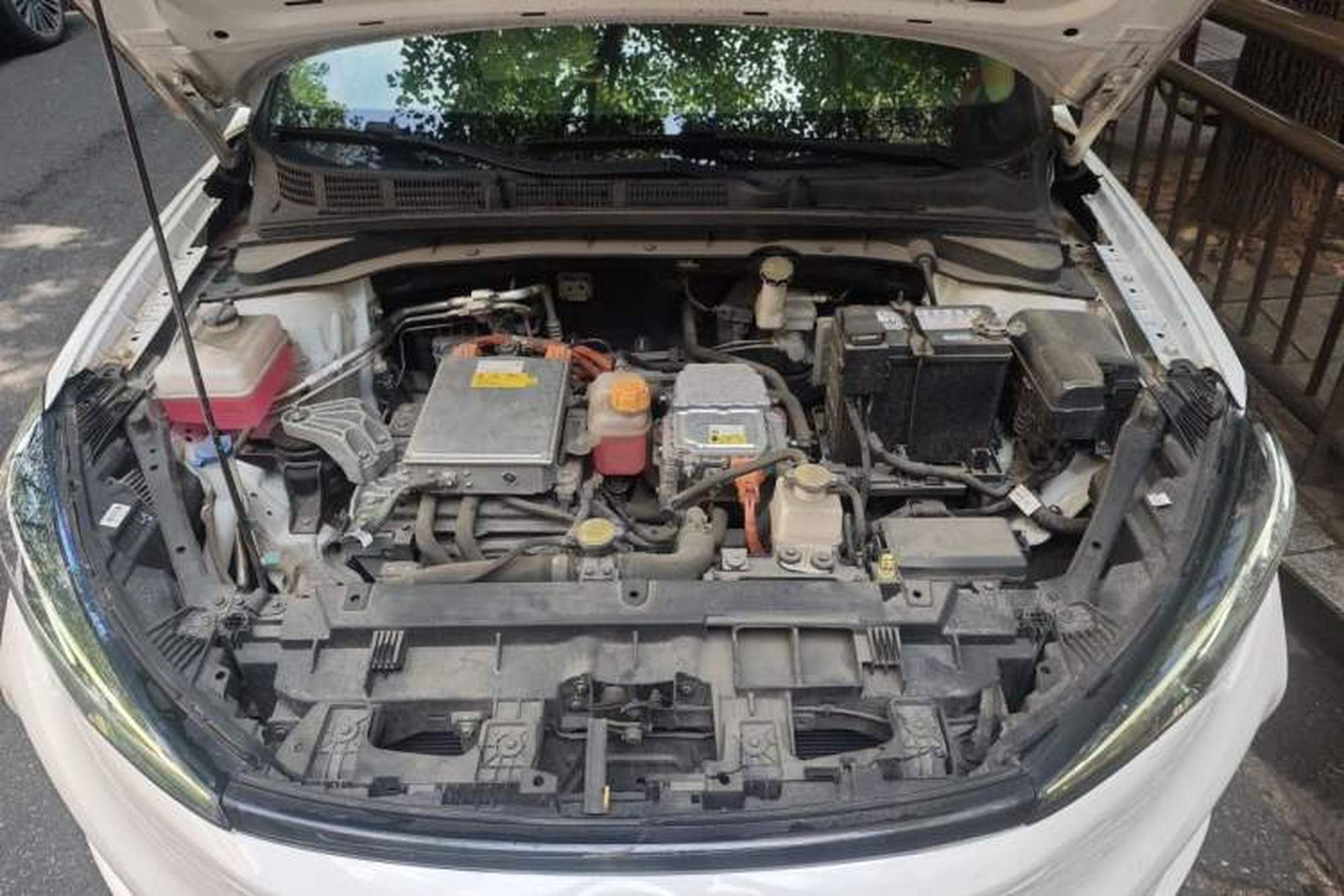 miniatura 21