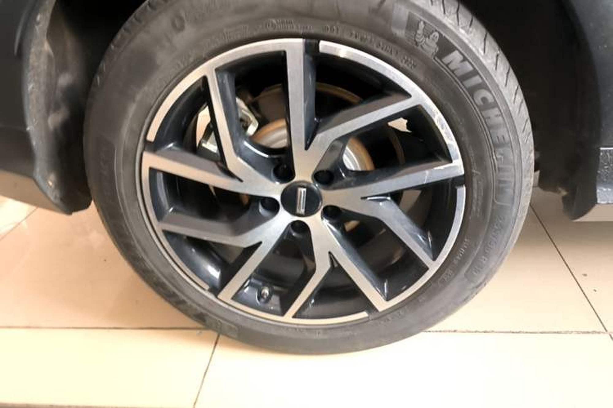 miniatura 11