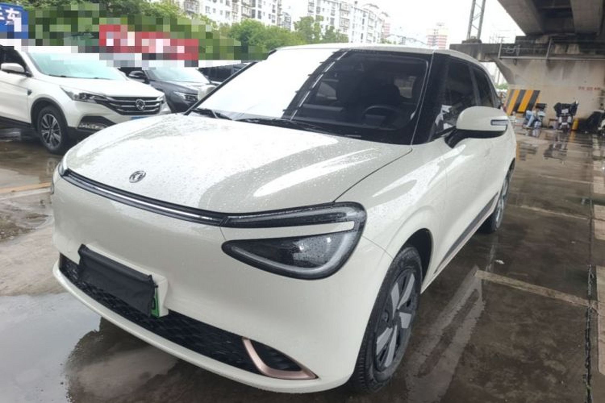 Dongfeng NAMMI 01
